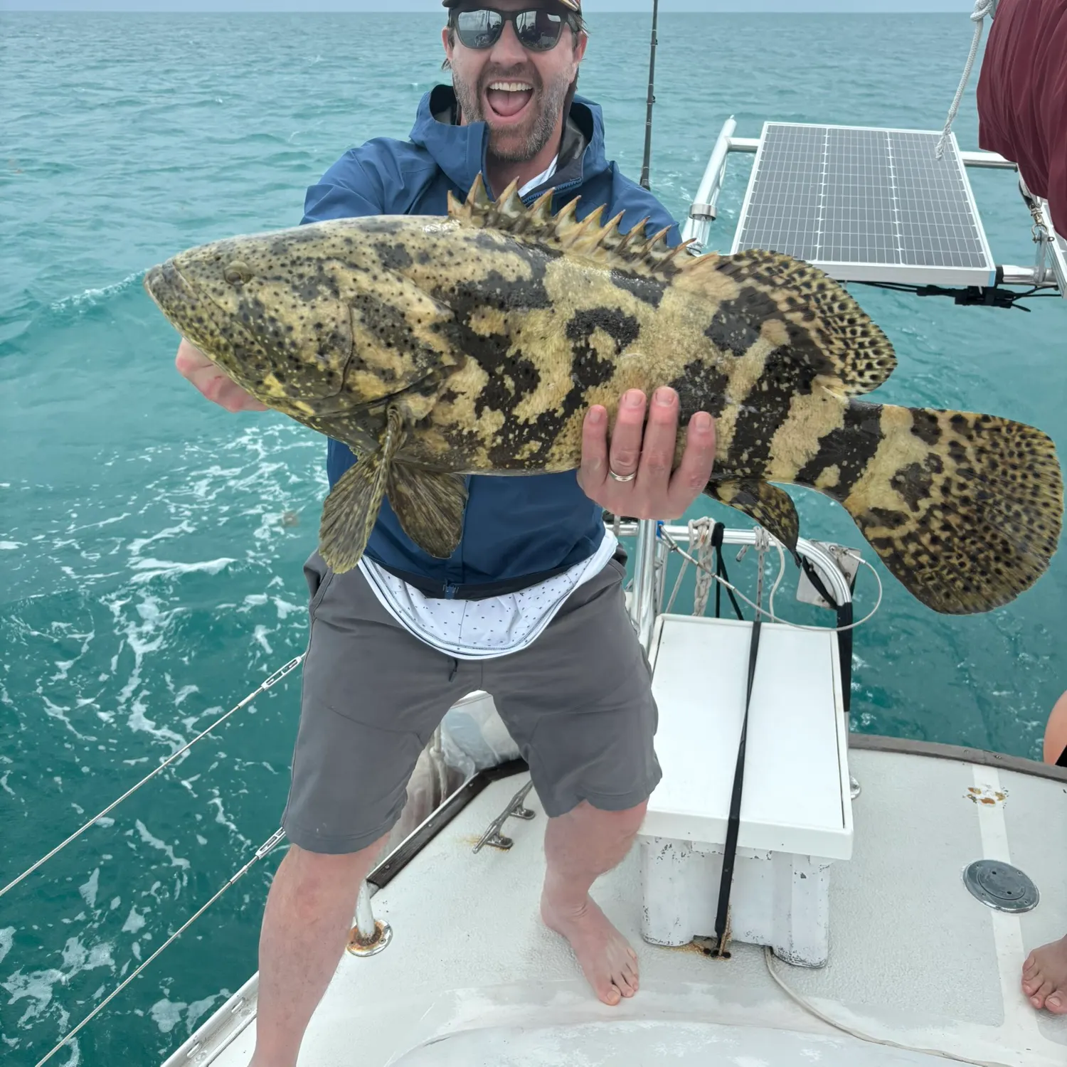 The most recent Atlantic goliath grouper catches on Fishbrain