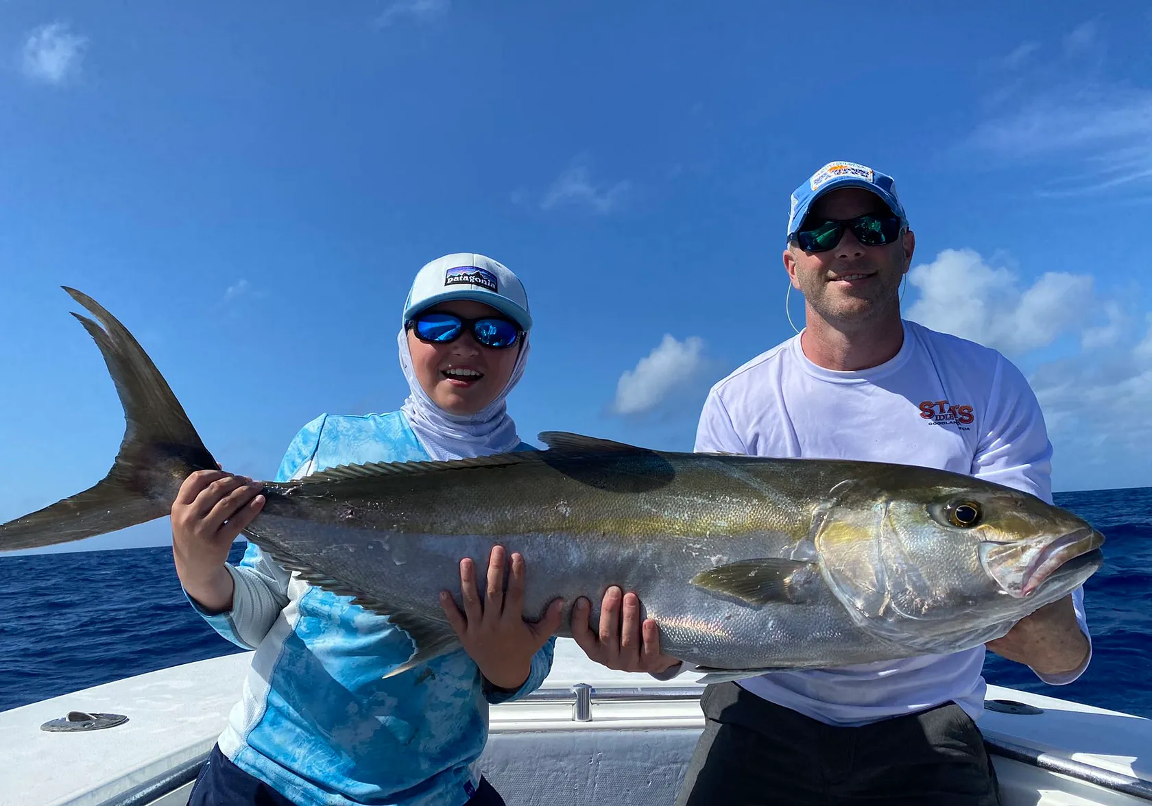 Southern yellowtail amberjack