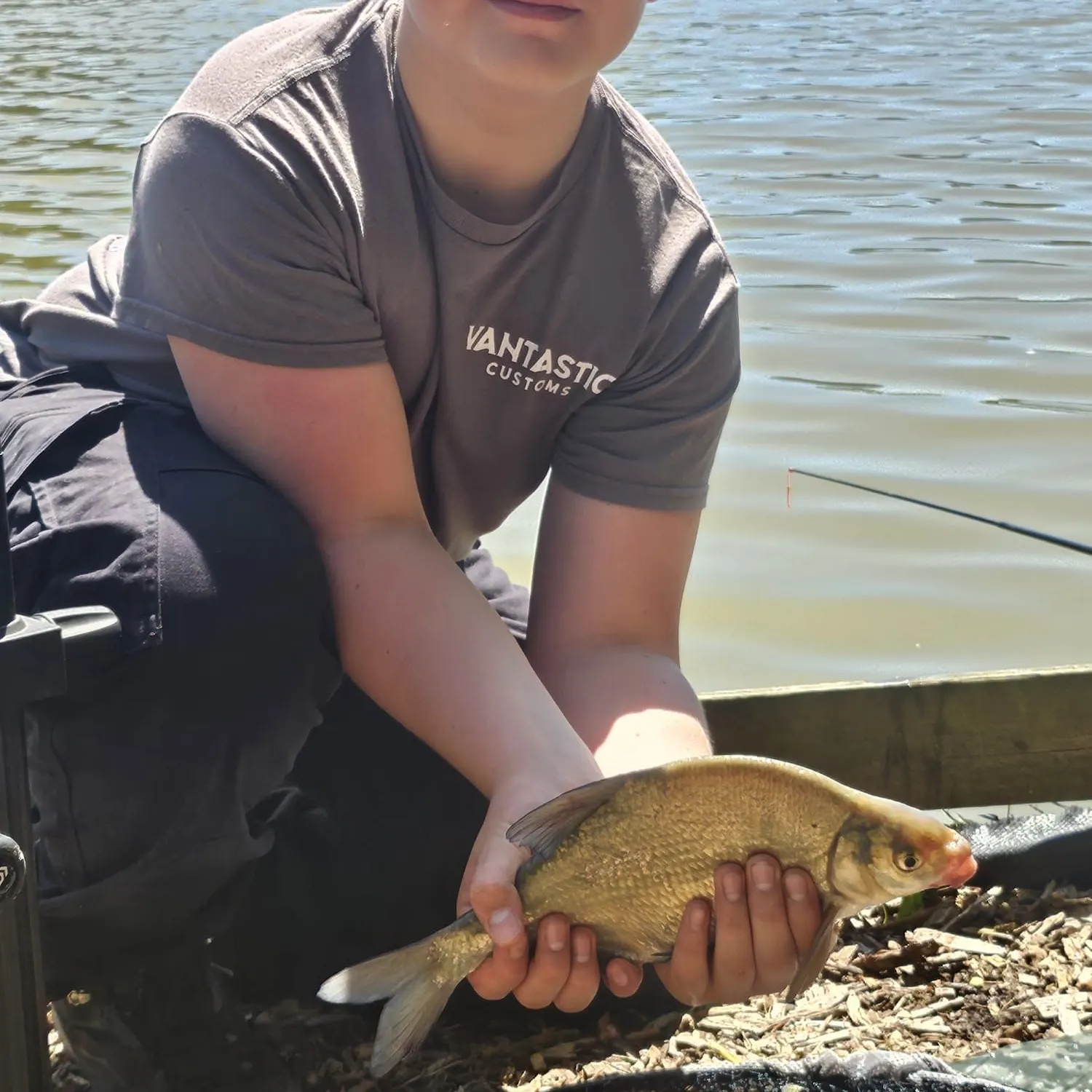 Common bream caught on Fishbrain