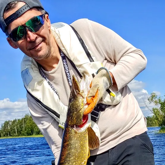 angler catch