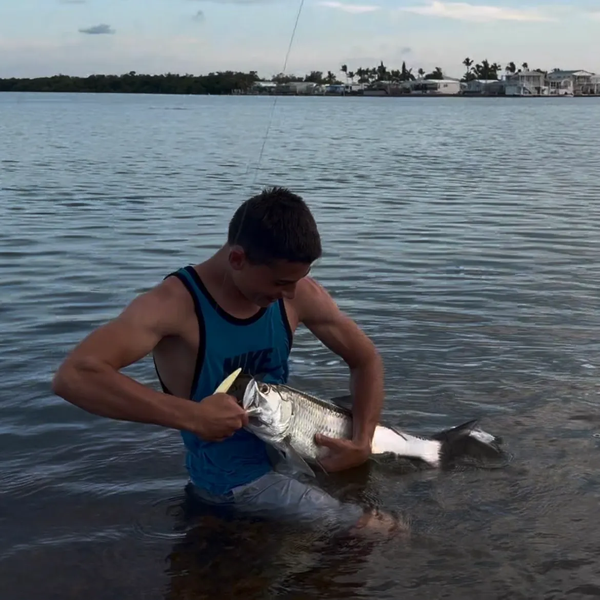 The most recent Tarpon catches on Fishbrain