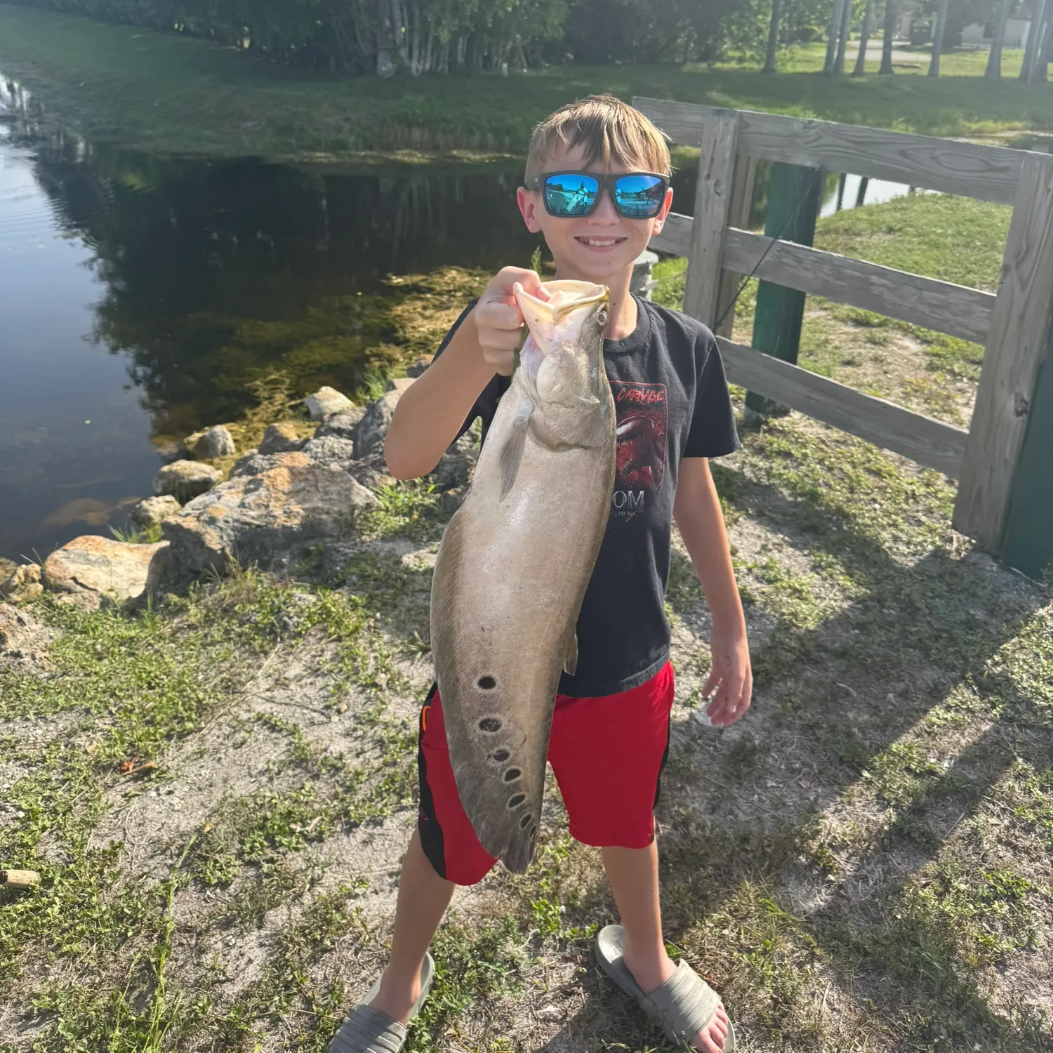 The most recent Clown knifefish catches on Fishbrain