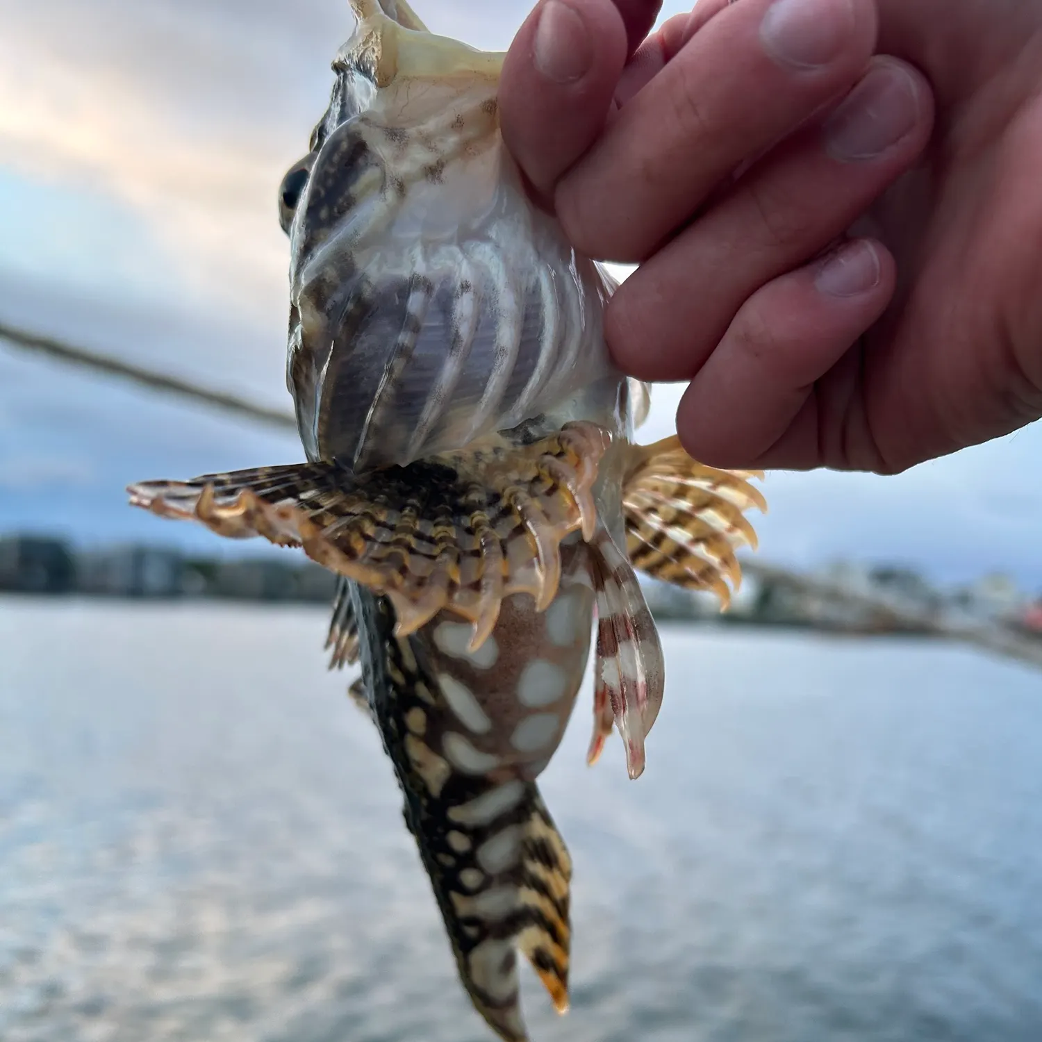 catch