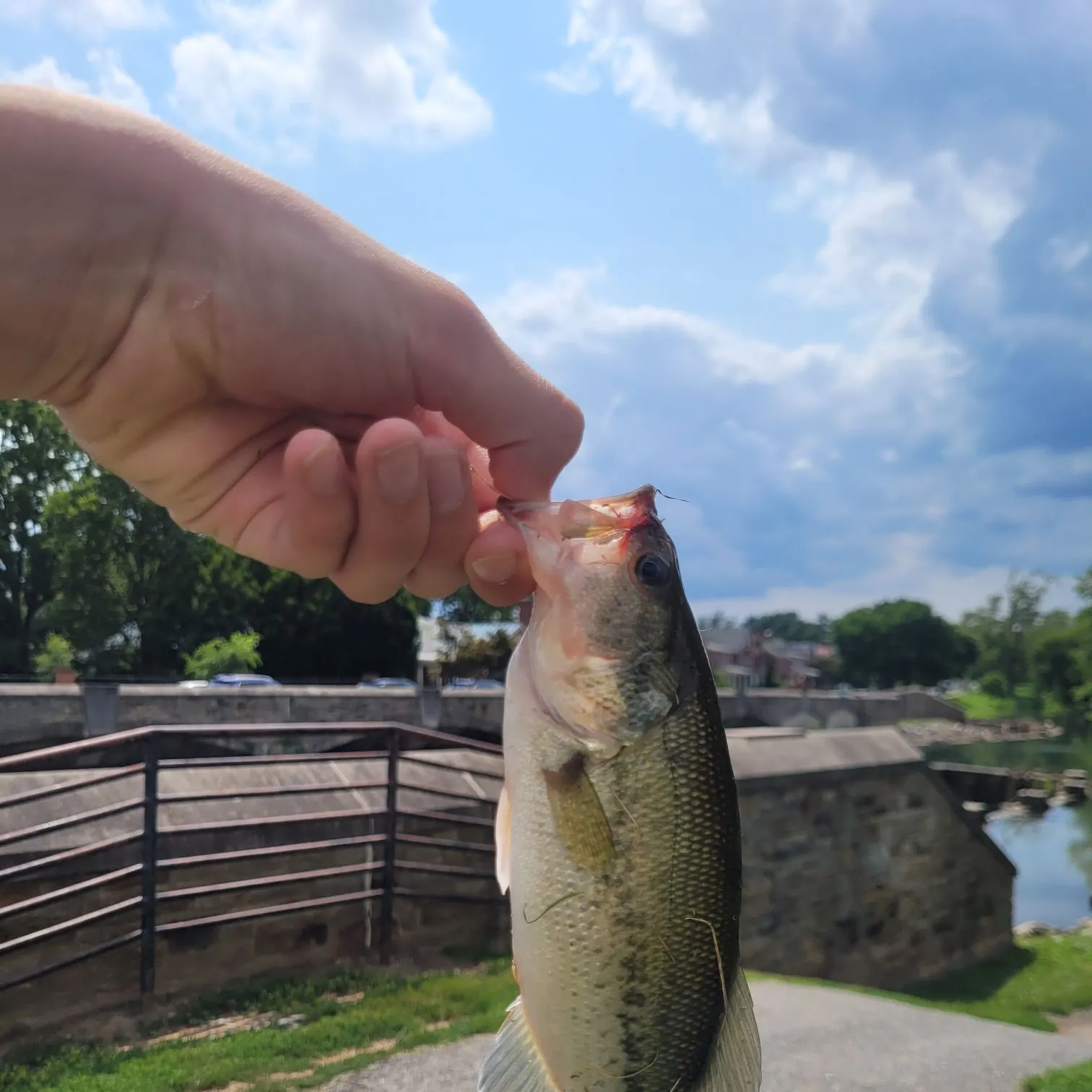 catch