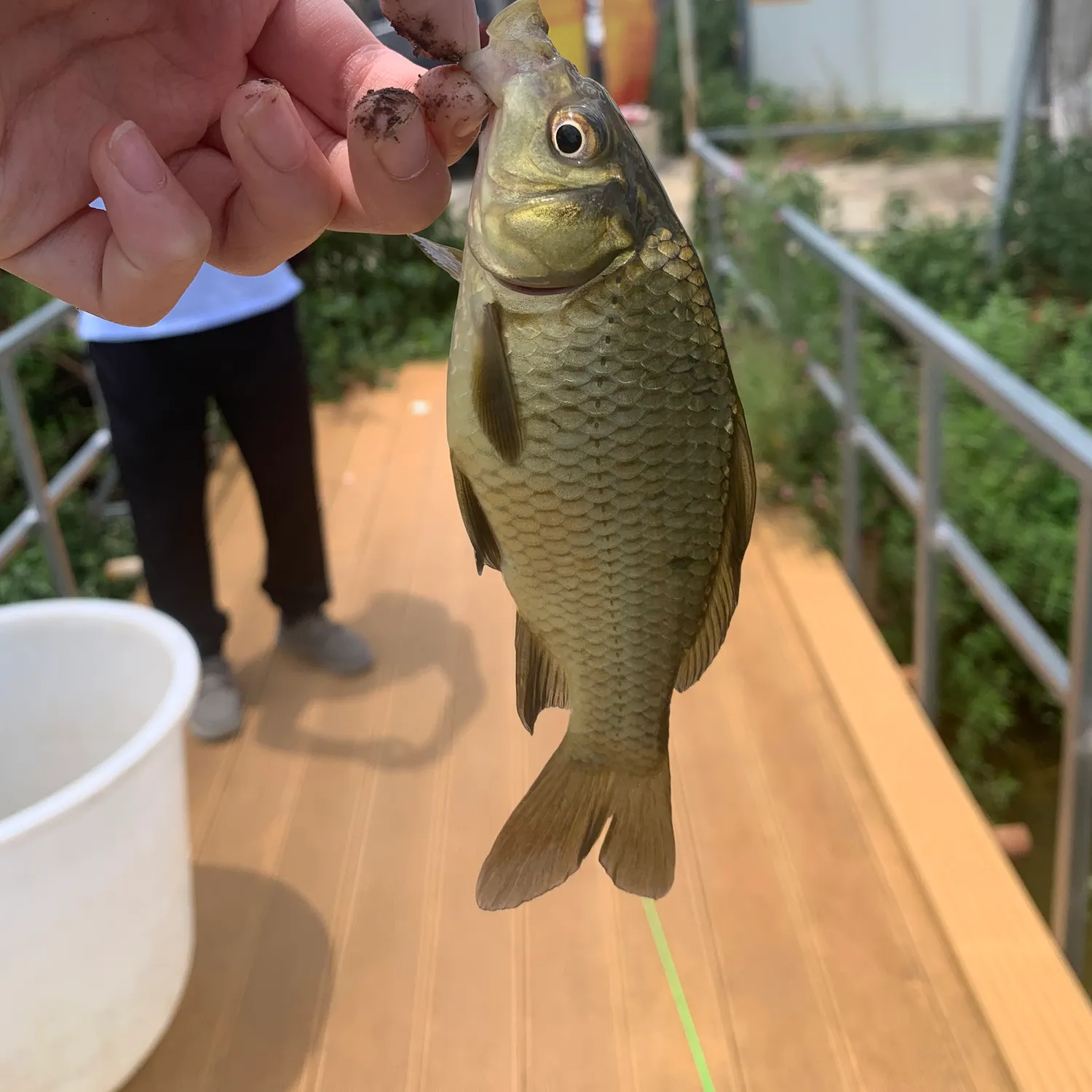 catch
