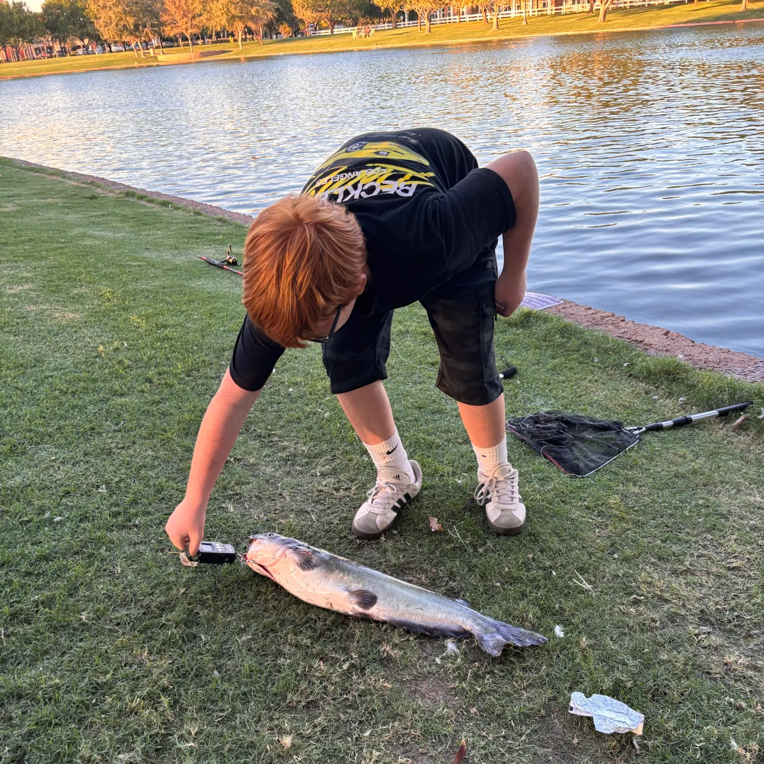 Channel catfish caught on Fishbrain
