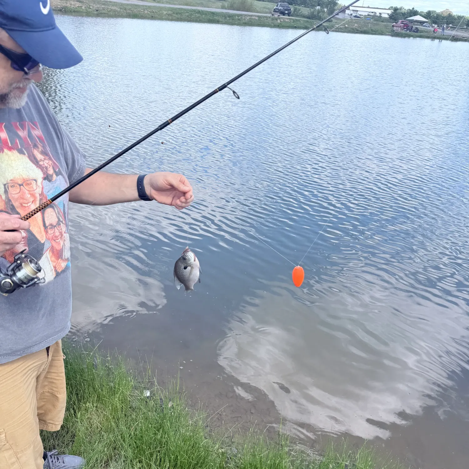 Bluegill caught on Fishbrain