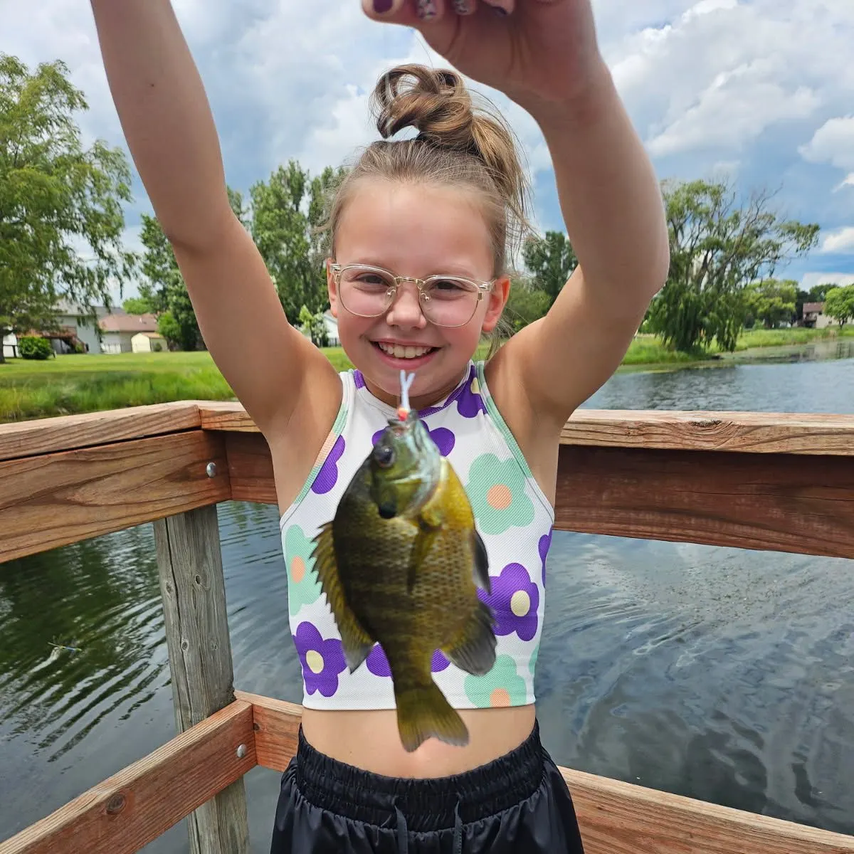 The most recent Banded sunfish catches on Fishbrain