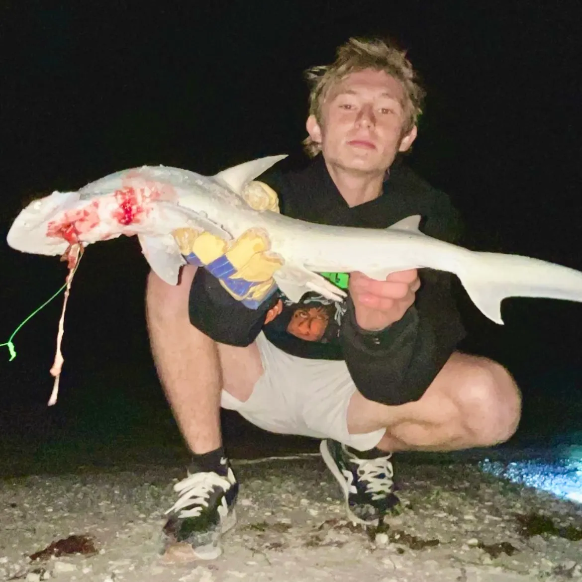 The most recent Bonnethead shark catches on Fishbrain