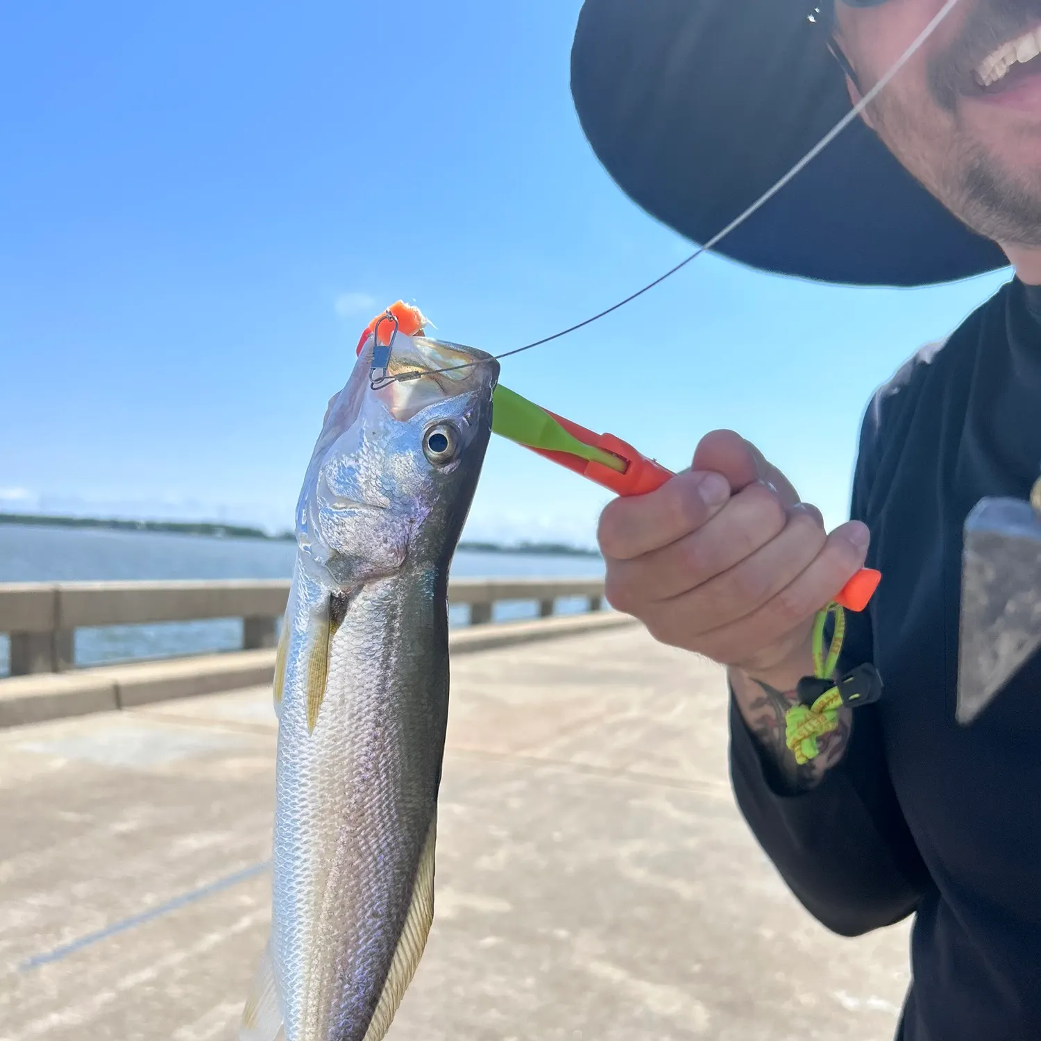 Silver seatrout caught on Fishbrain
