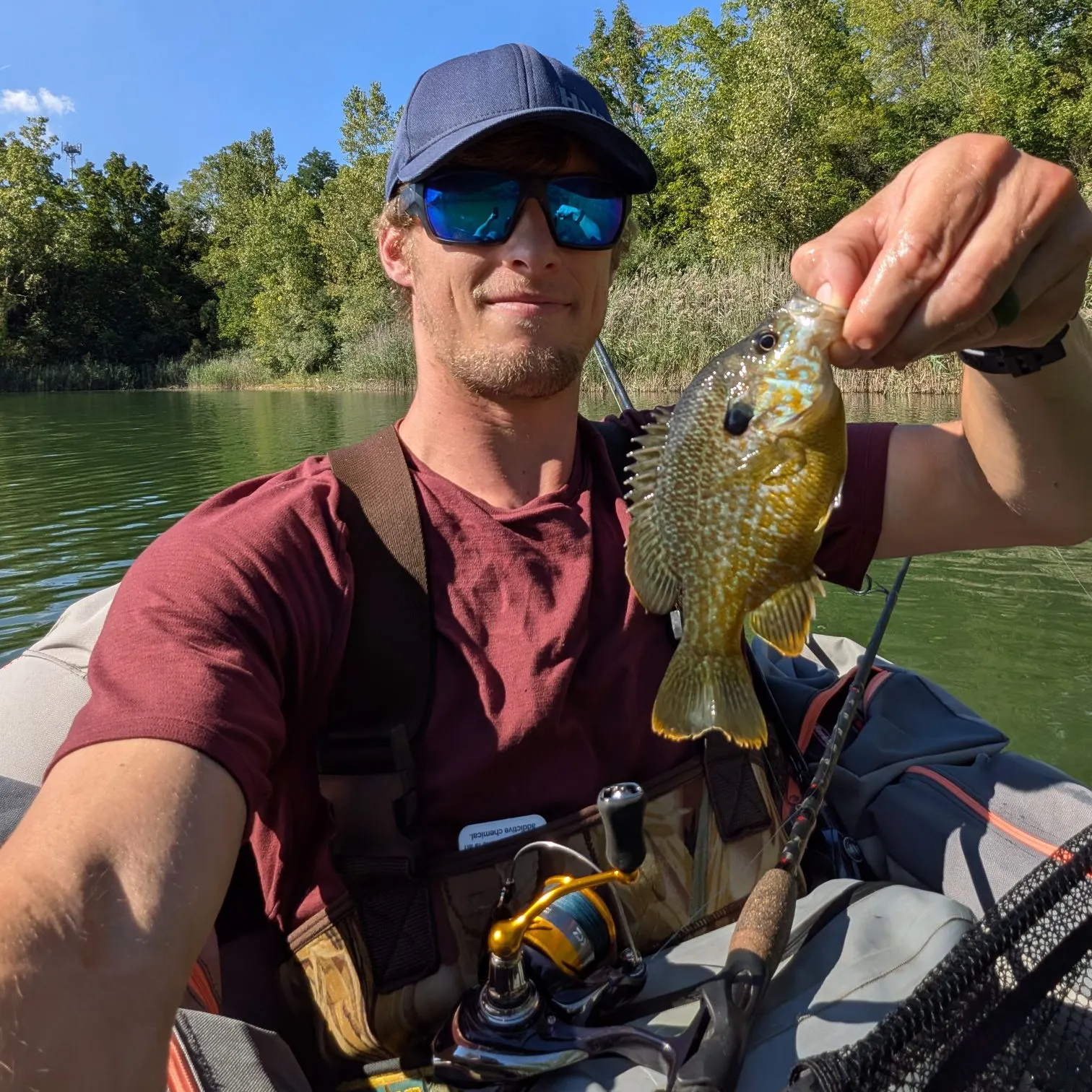 Greengill hybrid caught on Fishbrain
