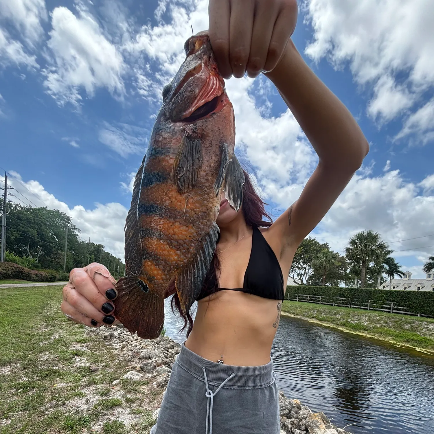 Mayan cichlid caught on Fishbrain