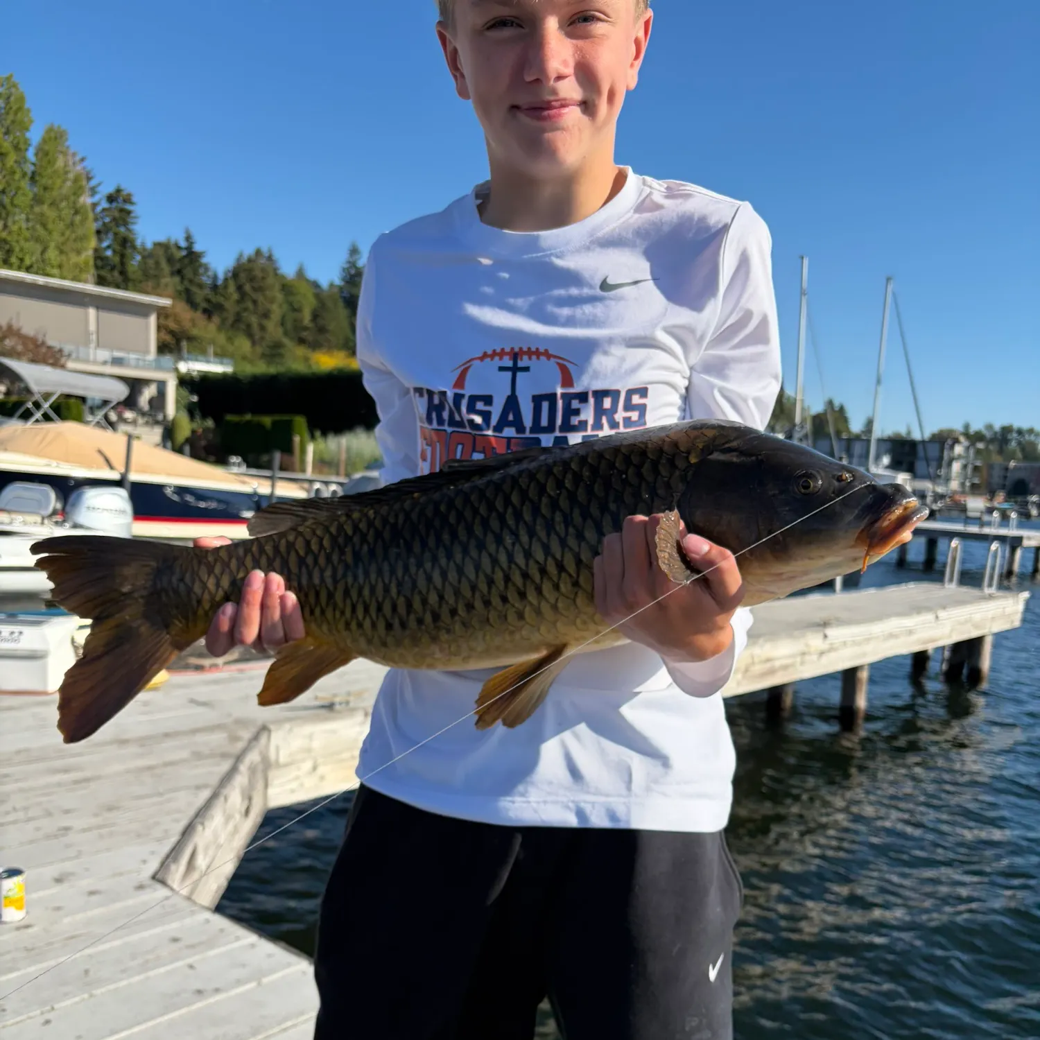 Common carp caught on Fishbrain
