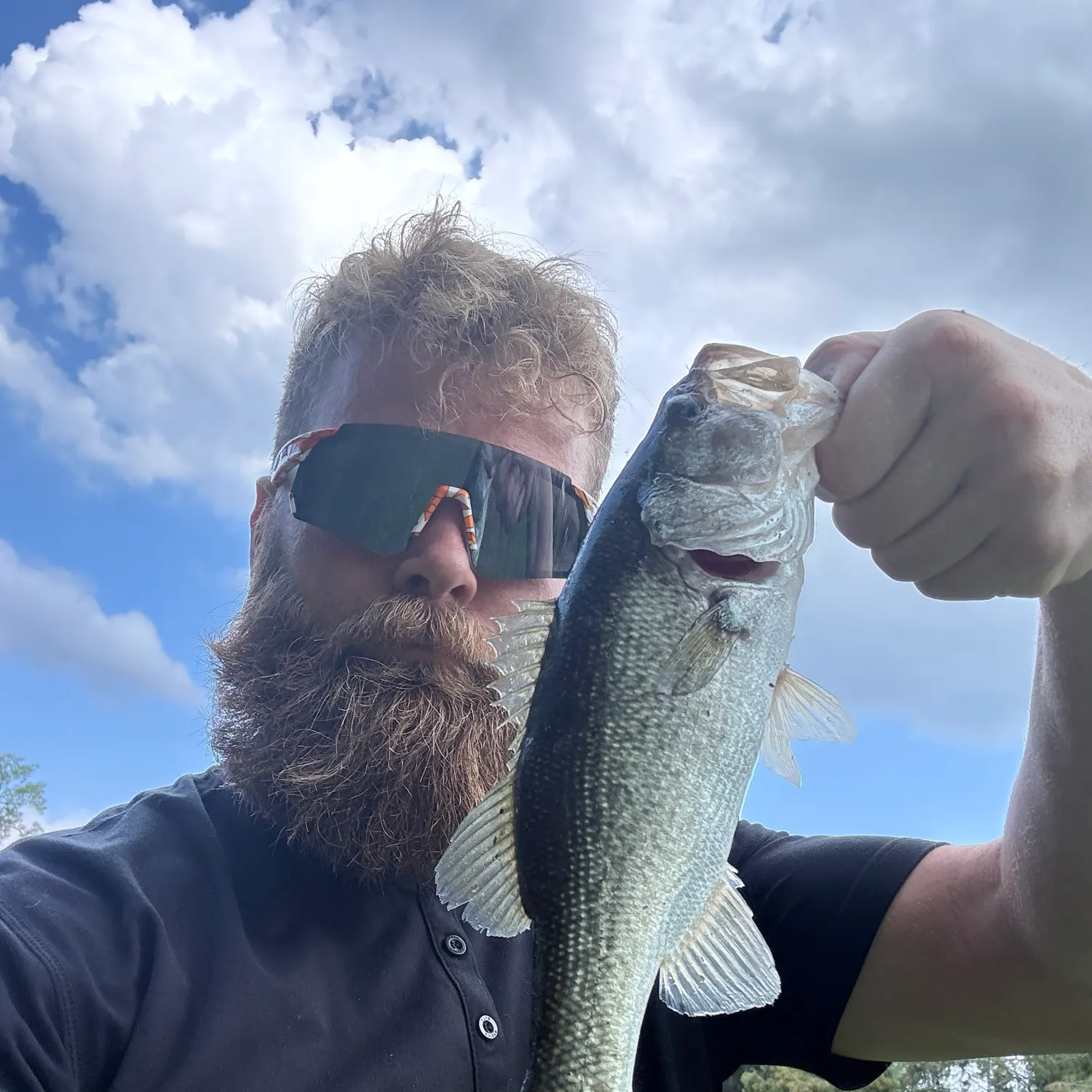 Largemouth bass caught on Fishbrain
