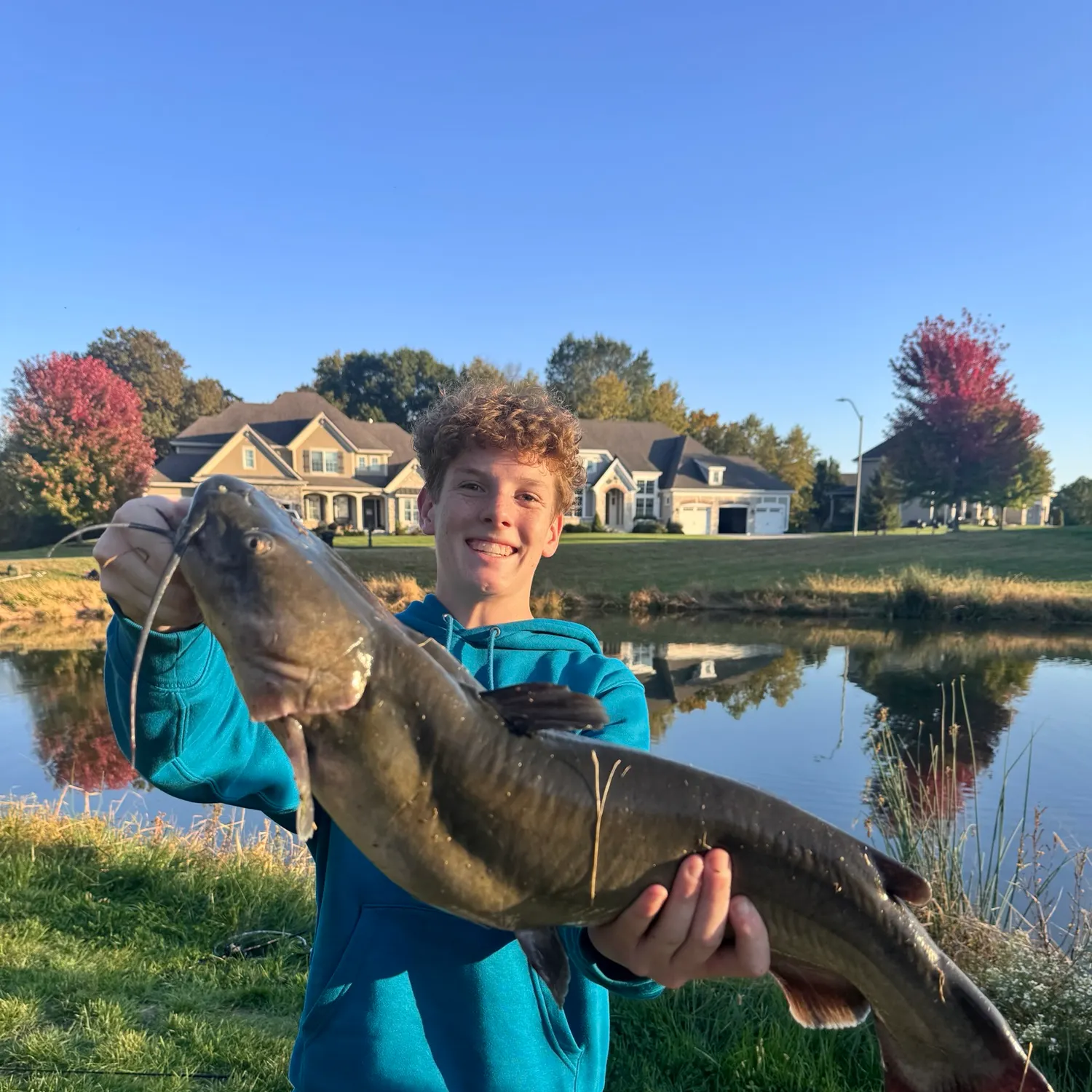 Channel catfish caught on Fishbrain