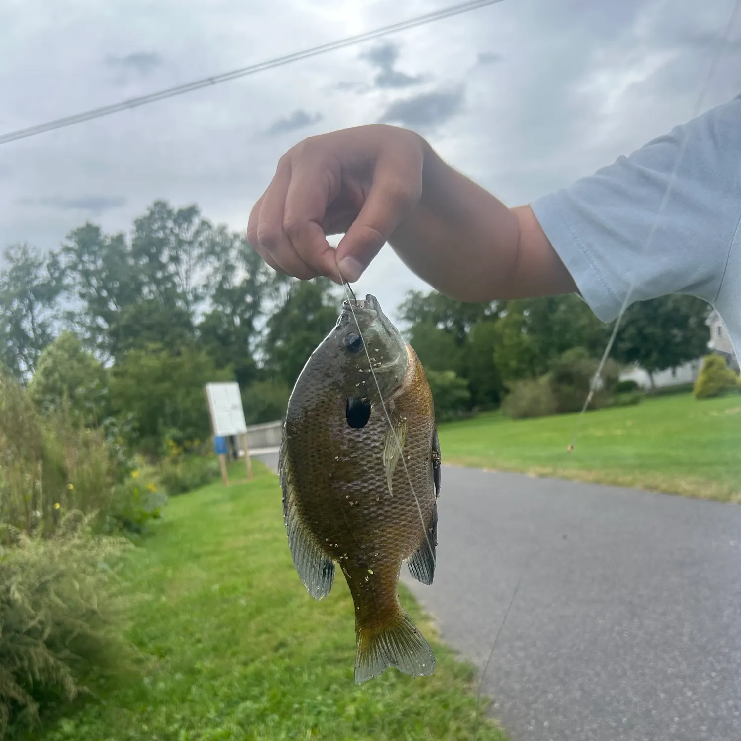catch