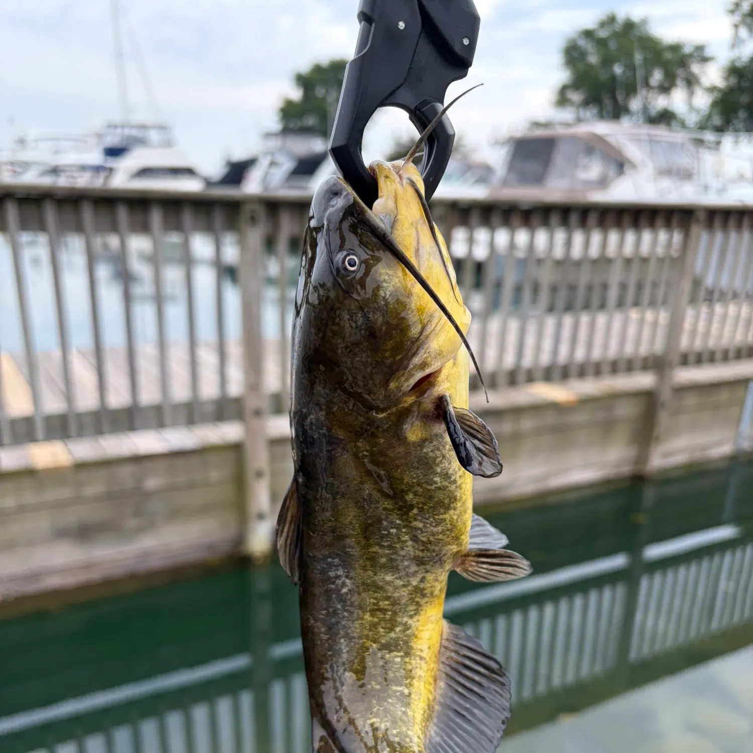 catch