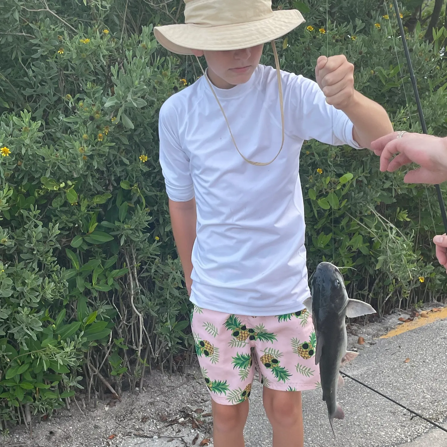 recently logged catches