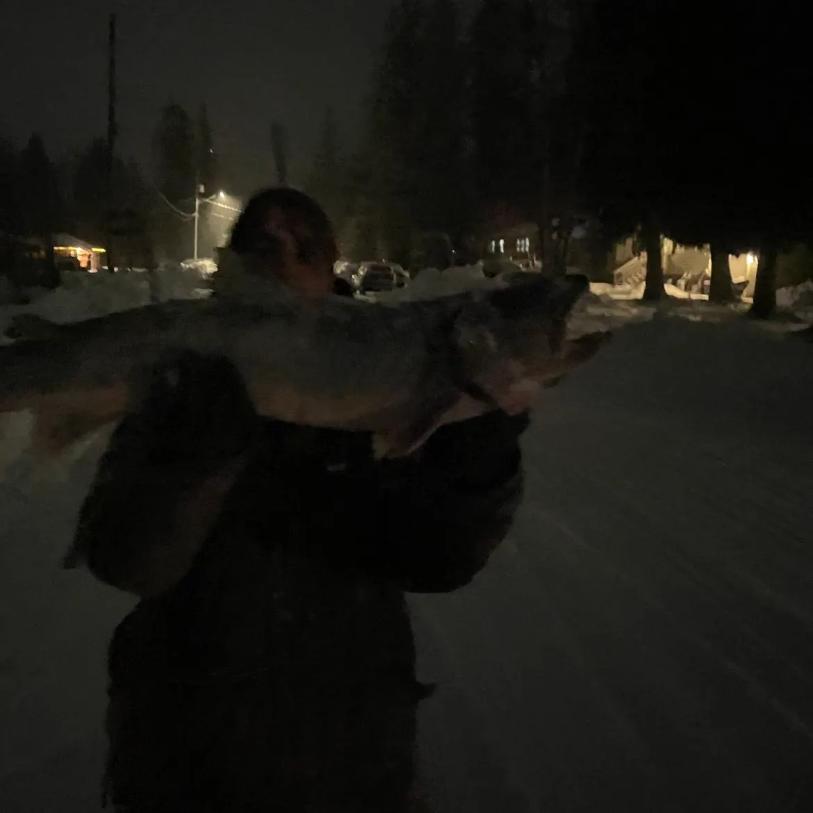 The most recent Dolly varden catches on Fishbrain