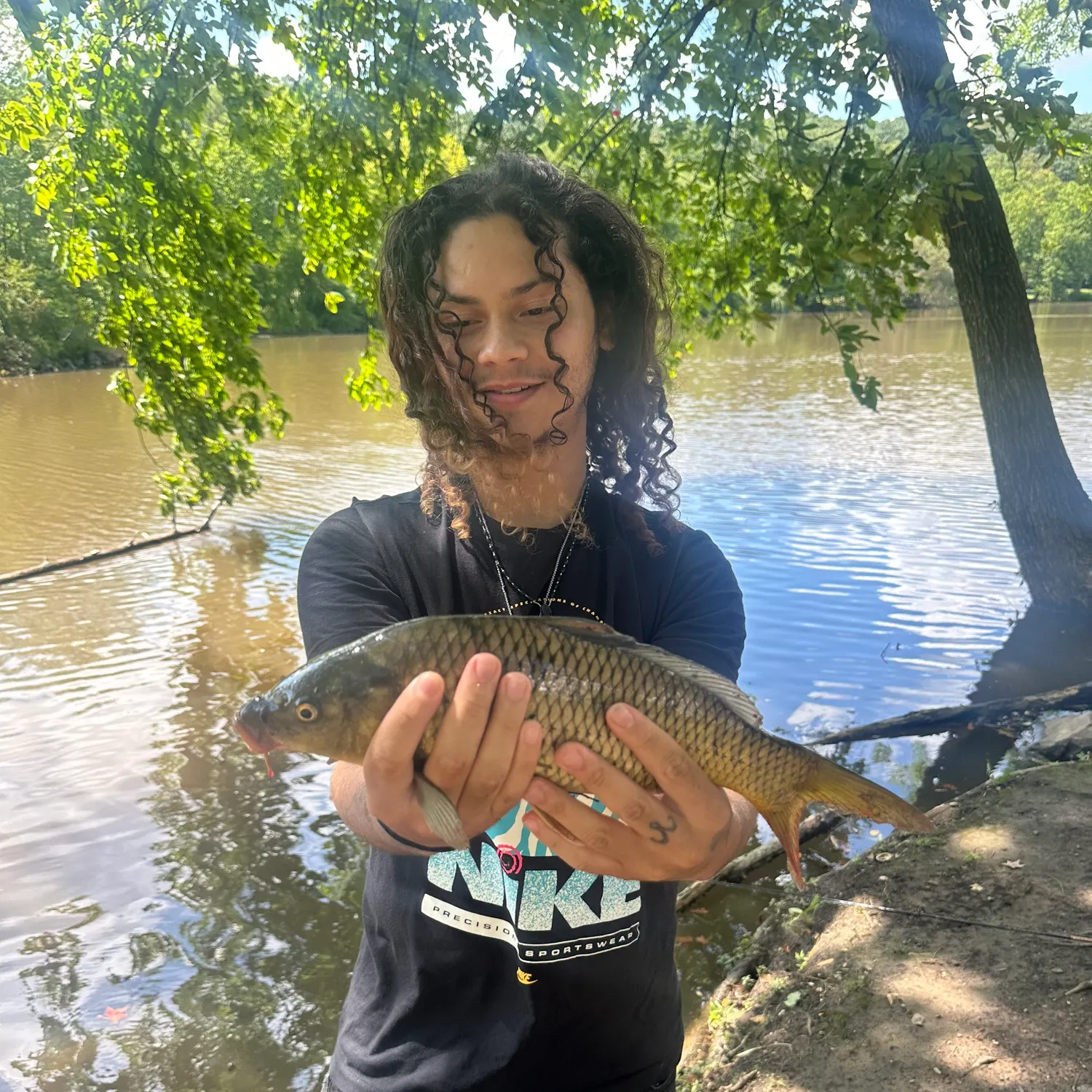 Common carp caught on Fishbrain