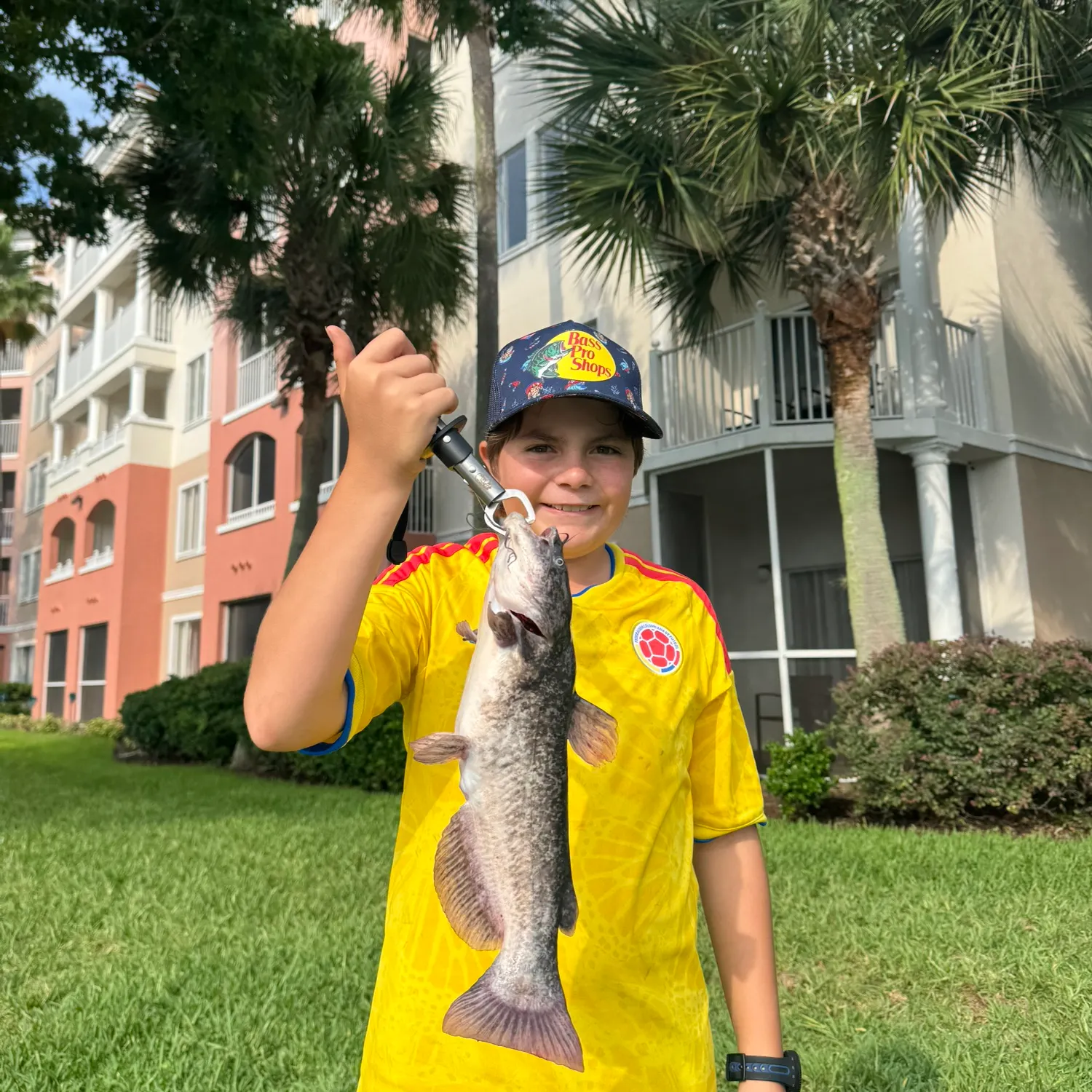 Brown bullhead caught on Fishbrain