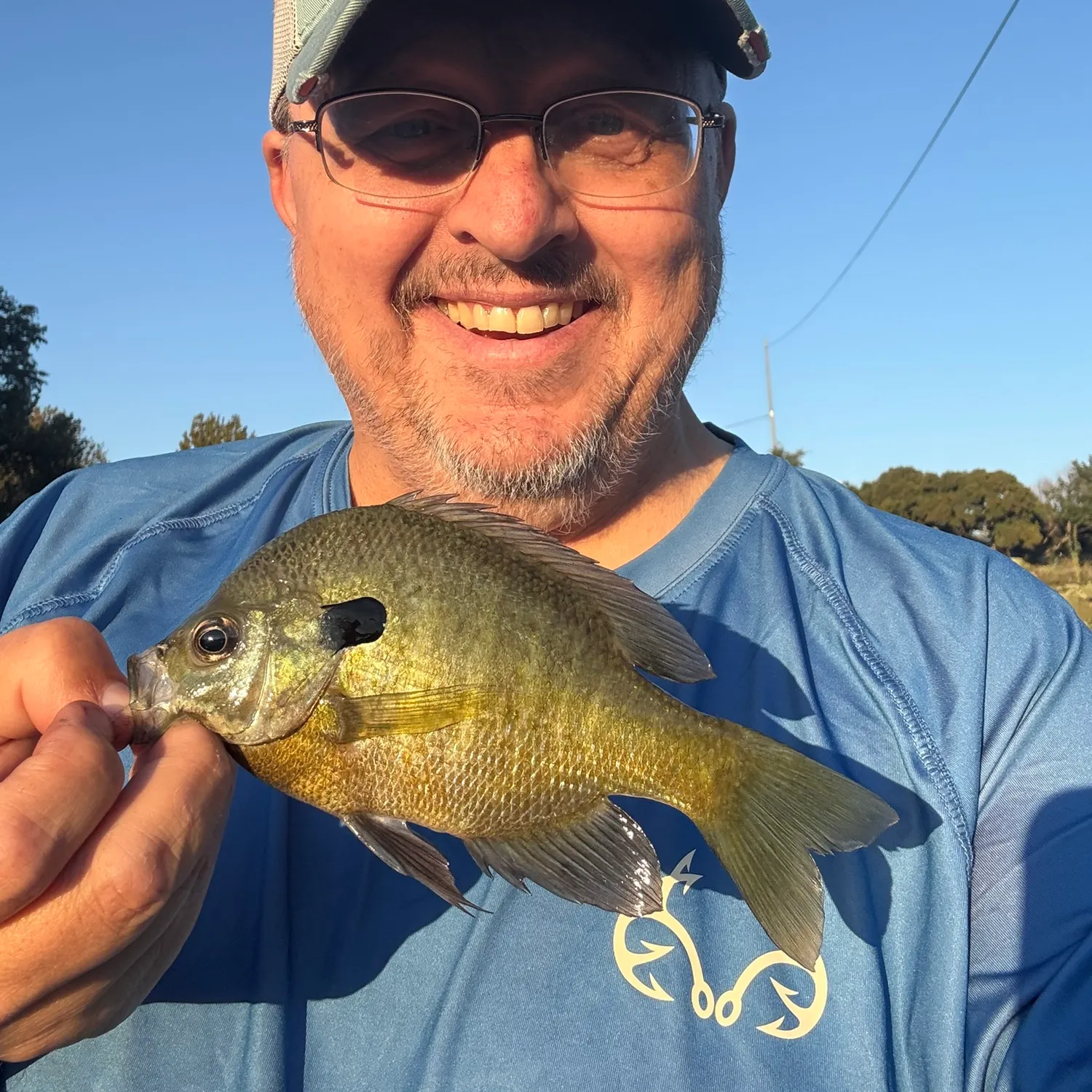 Bluegill caught on Fishbrain