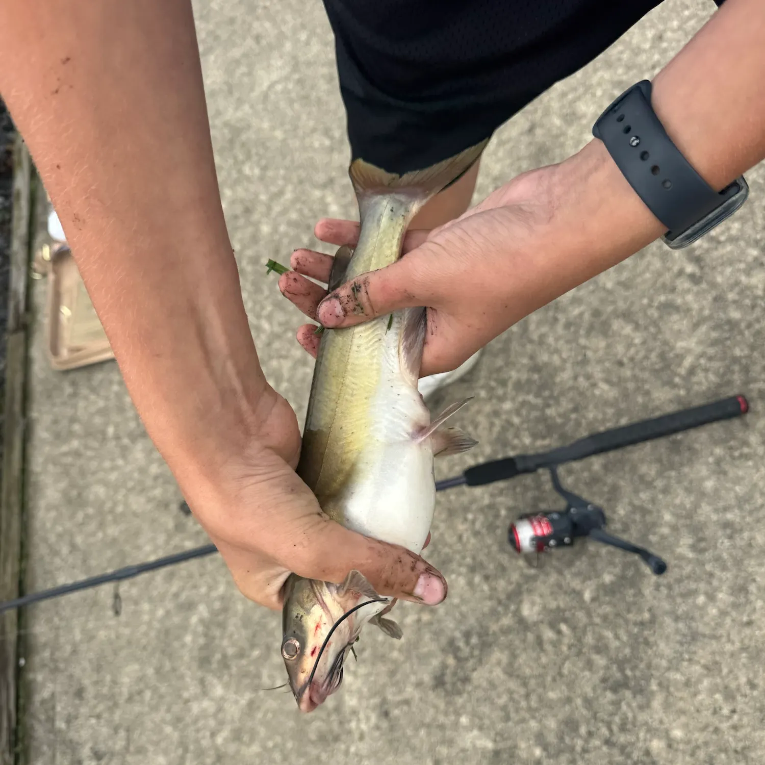 catch