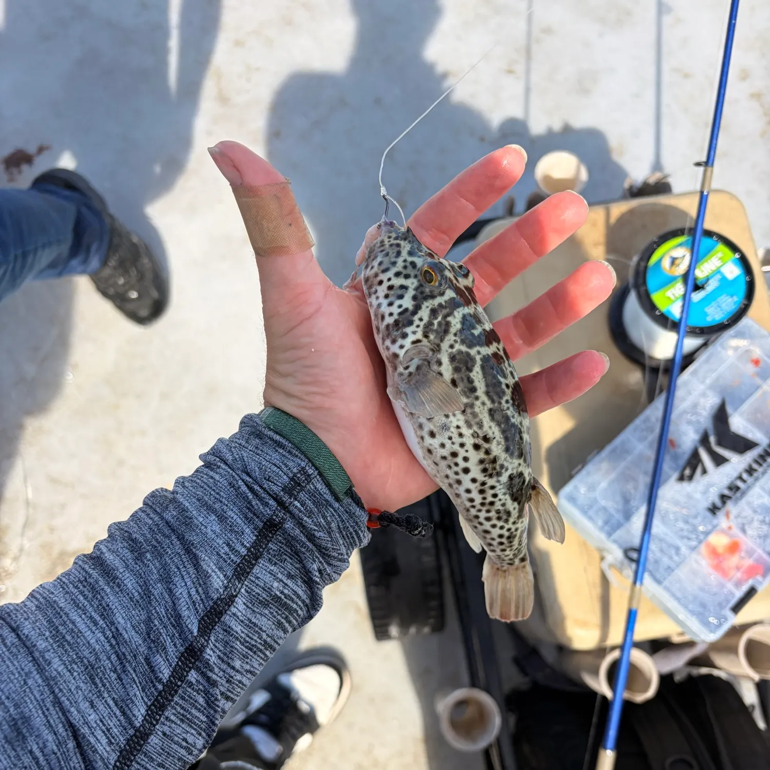 catch
