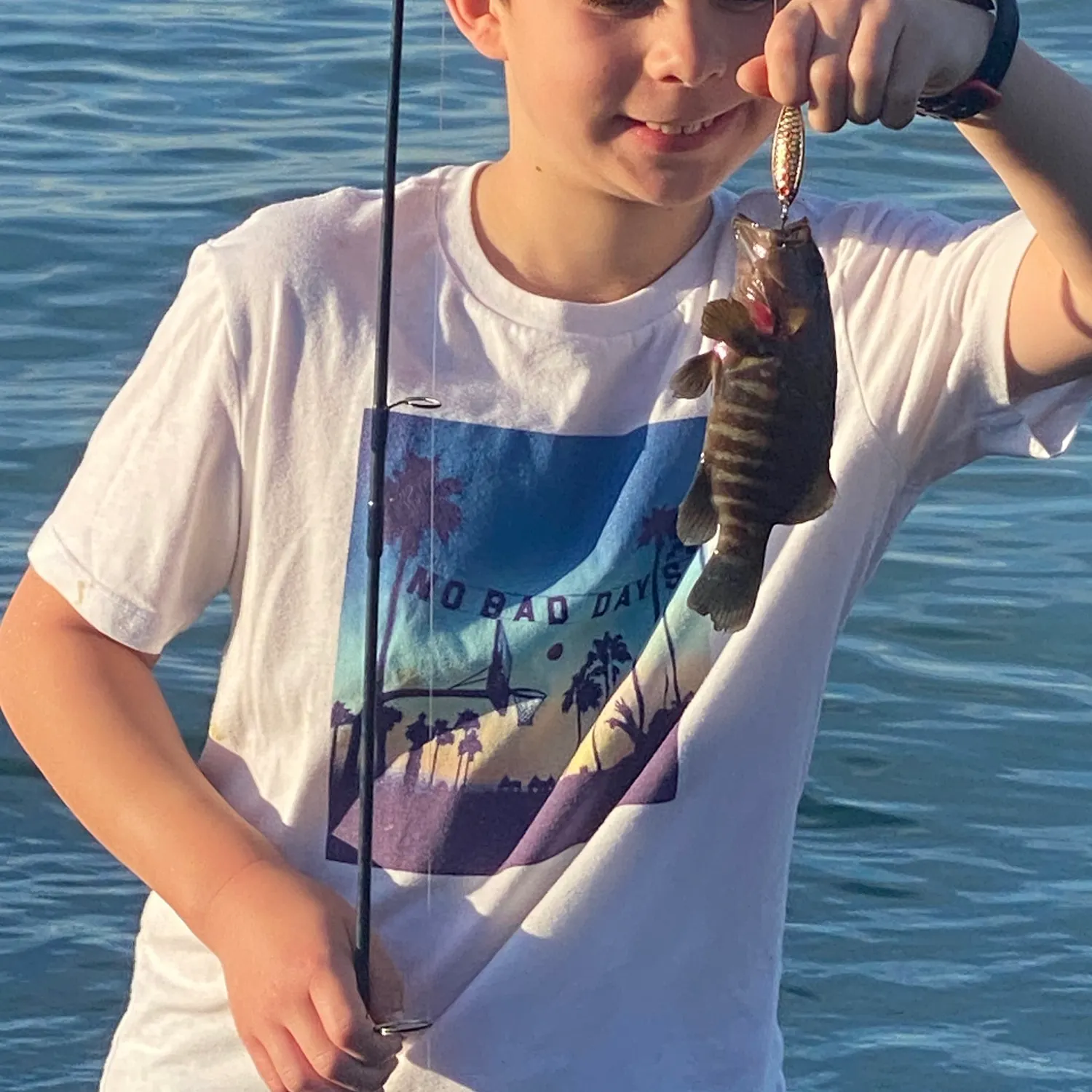 The most recent Dog Snapper catches on Fishbrain