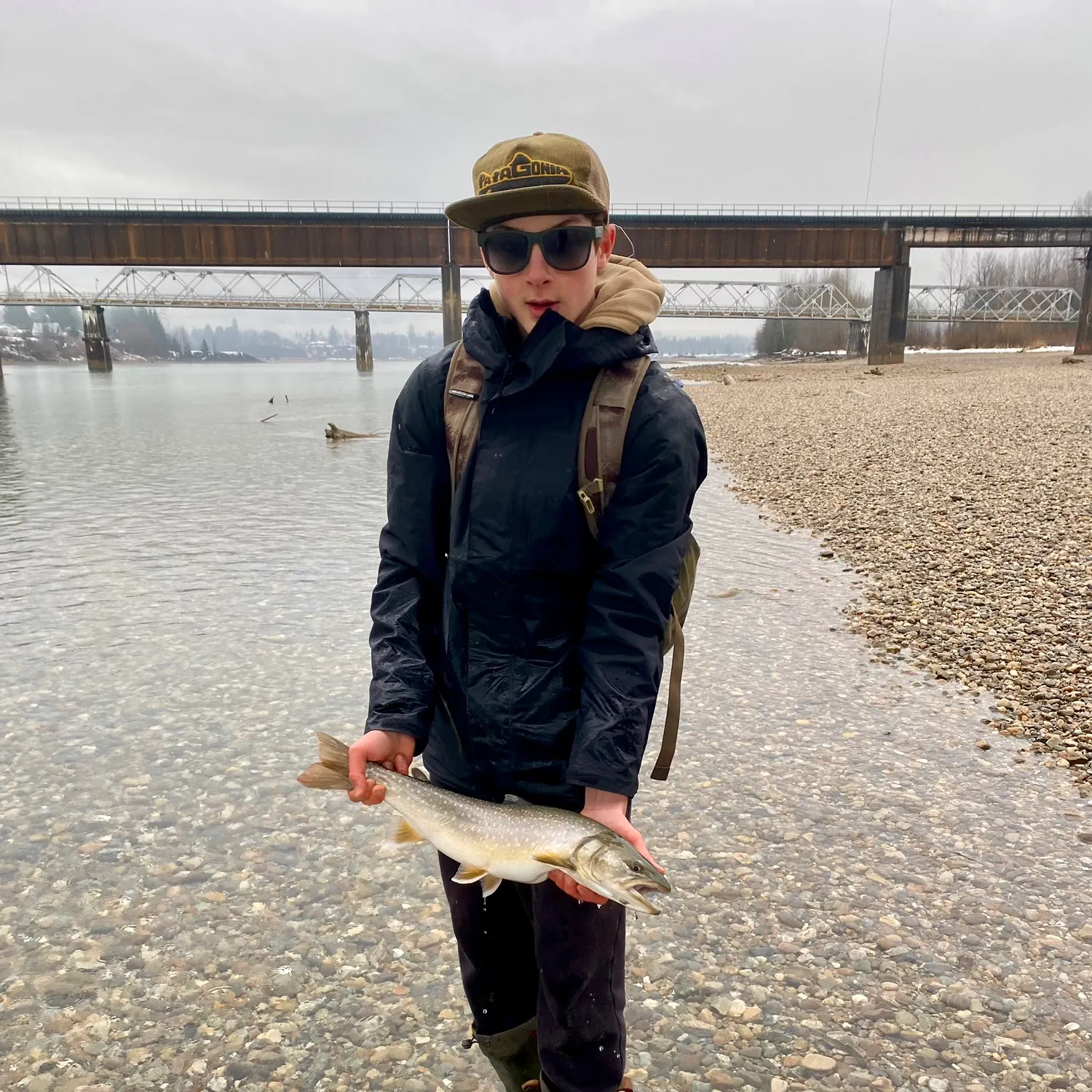 The most recent Bull trout catches on Fishbrain