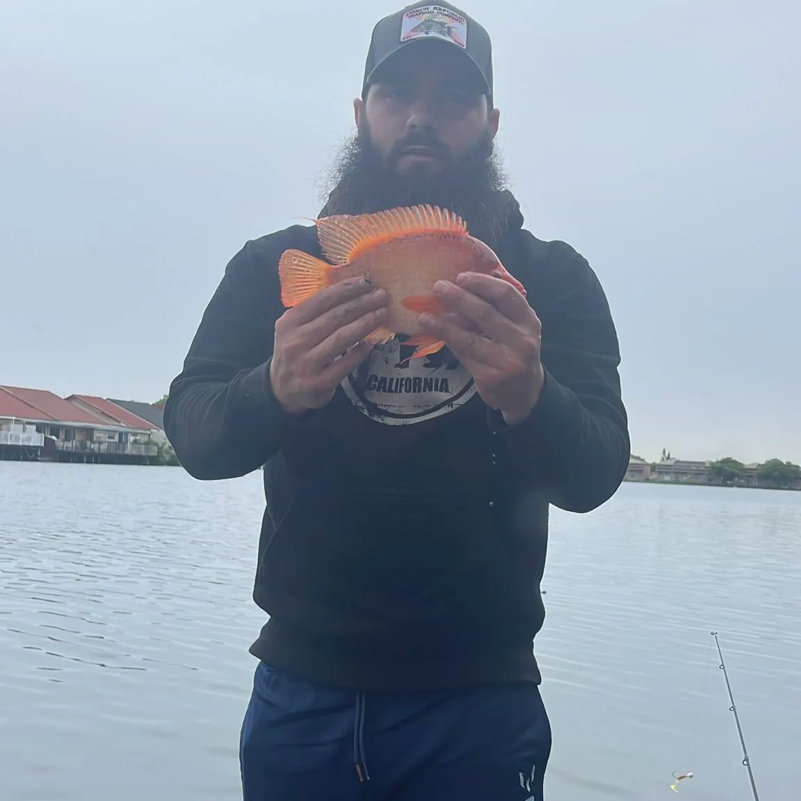 most liked catch image