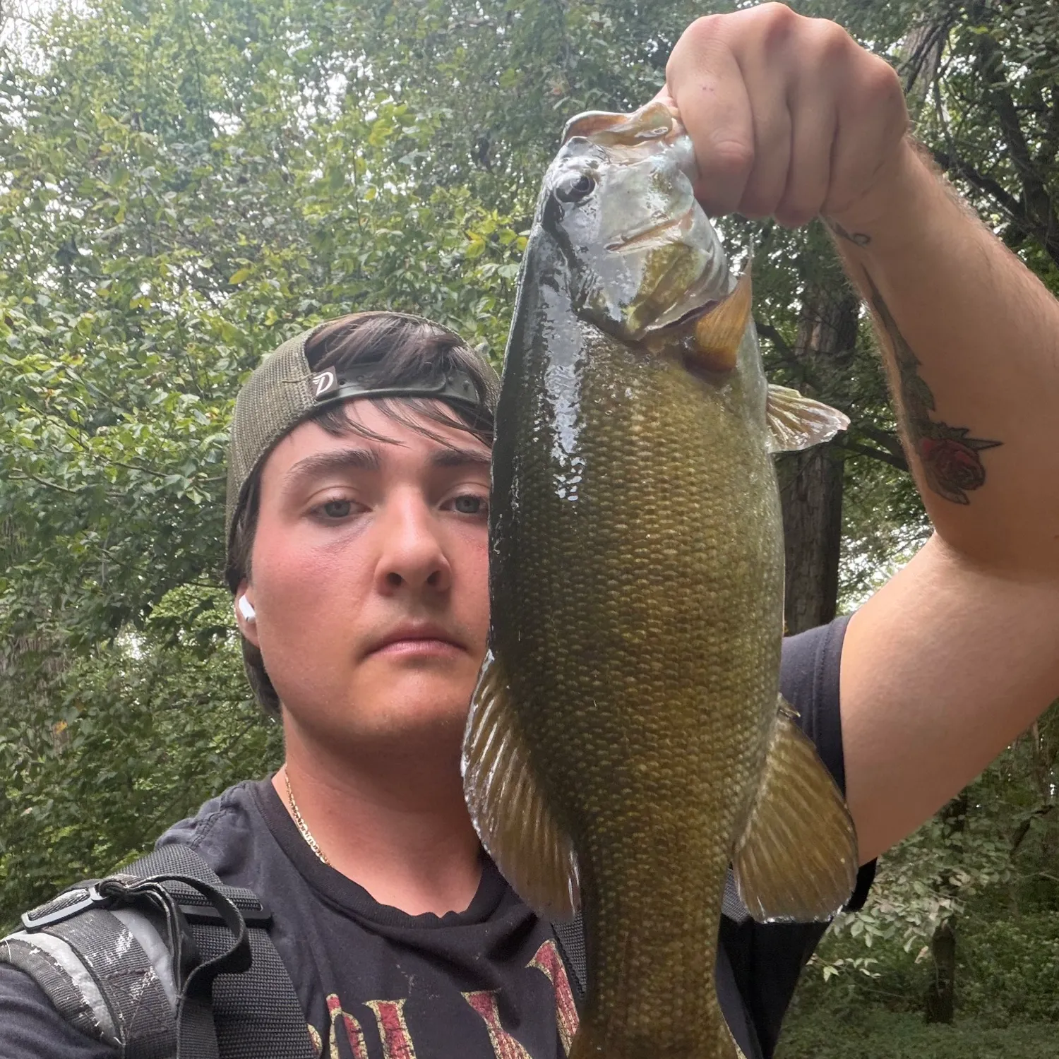 Smallmouth bass caught on Fishbrain
