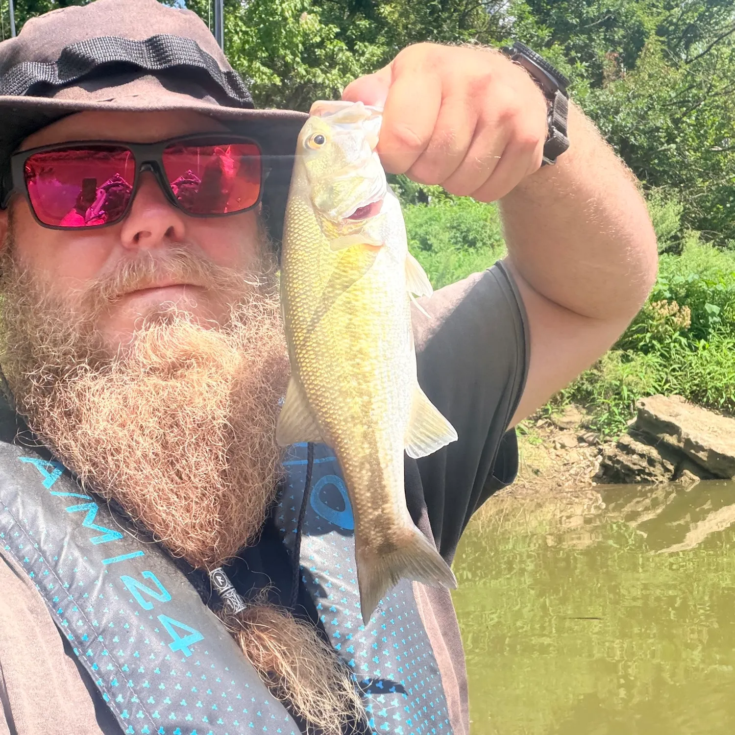 Spotted bass caught on Fishbrain