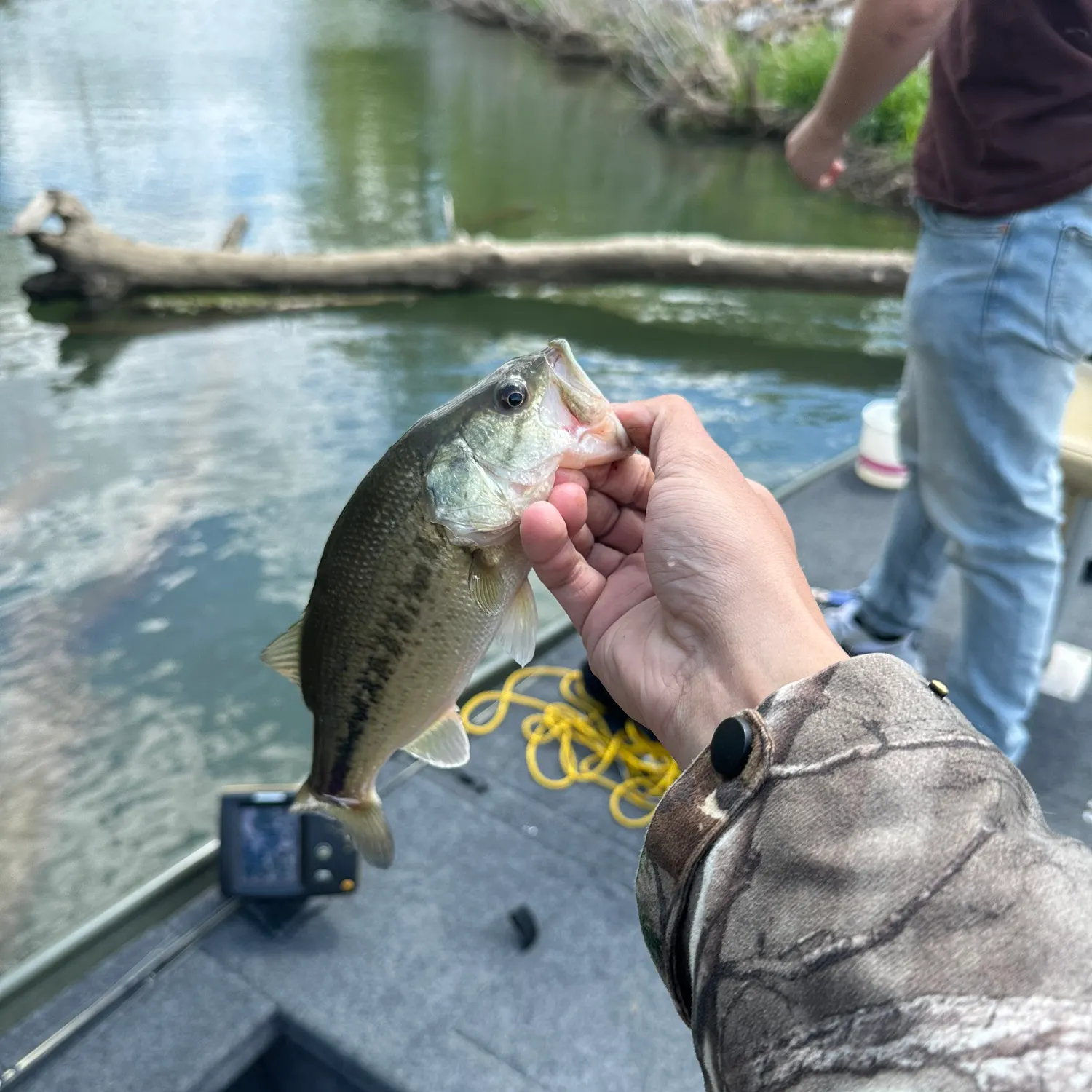 catch