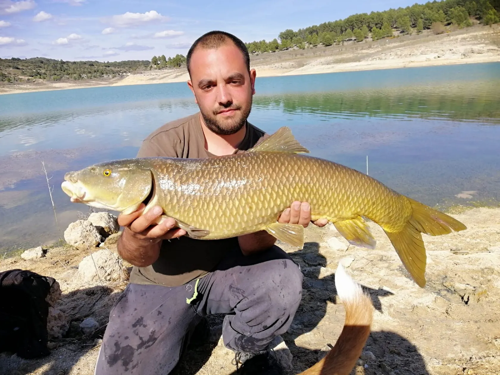 Post image from aperez8411