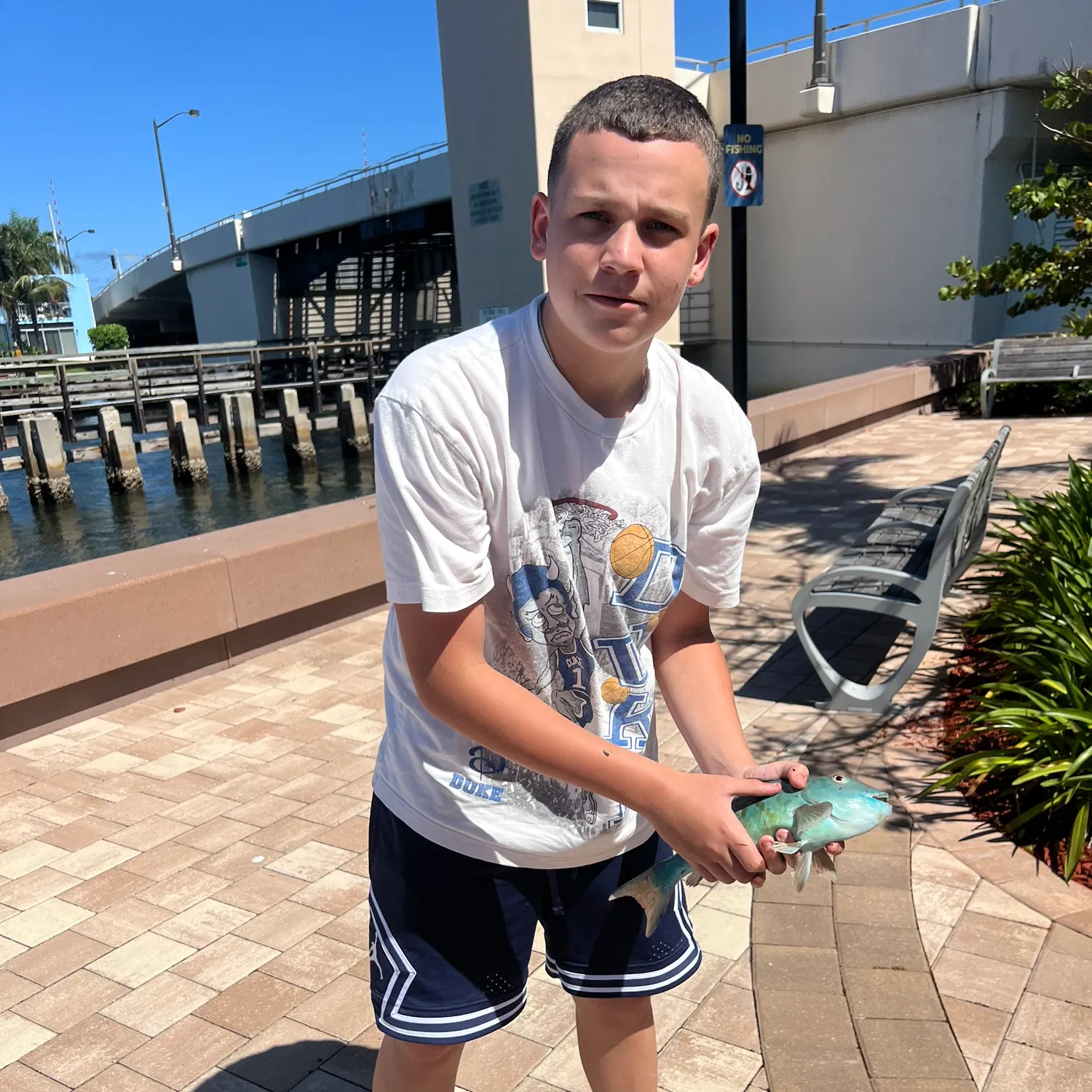 The most recent Dark capped parrotfish catches on Fishbrain