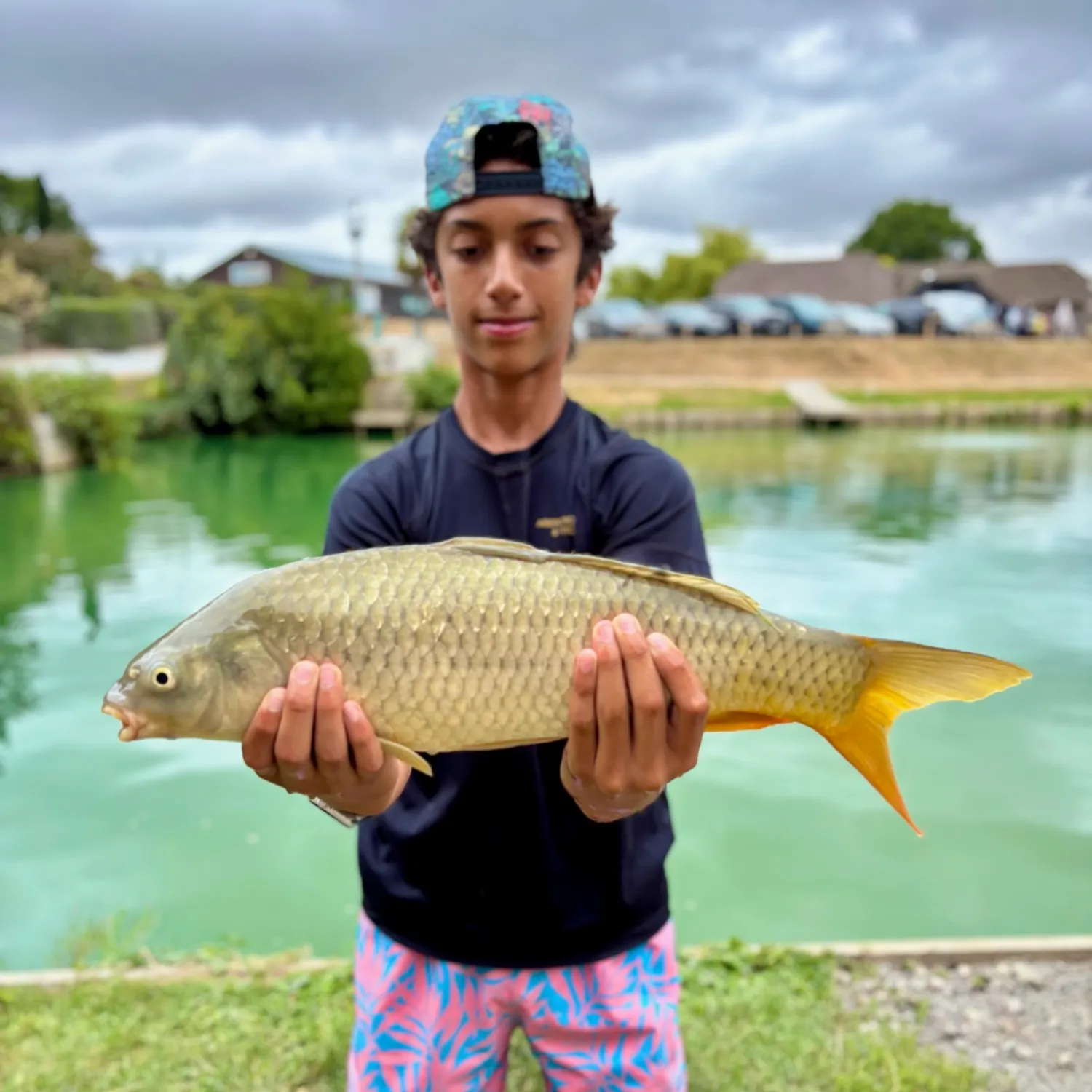 Common carp caught on Fishbrain