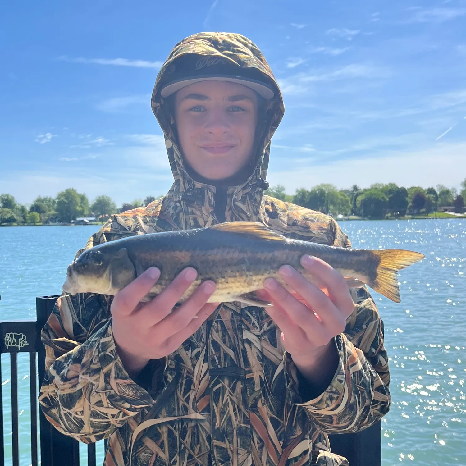The most recent Longnose sucker catches on Fishbrain