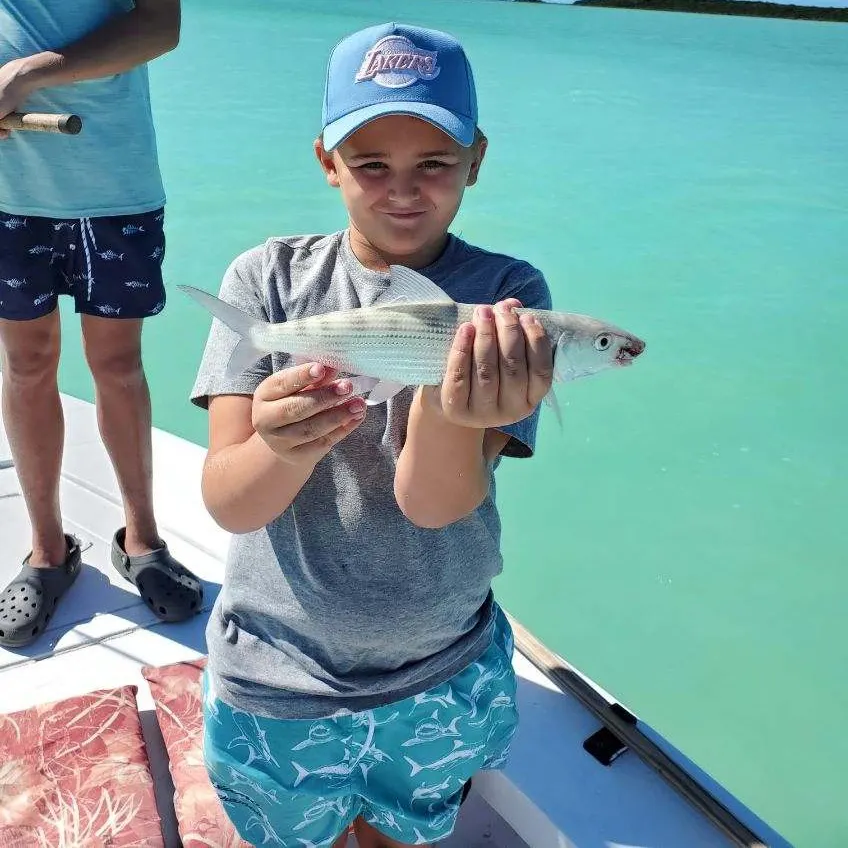 The most recent West Atlantic bonefish catches on Fishbrain