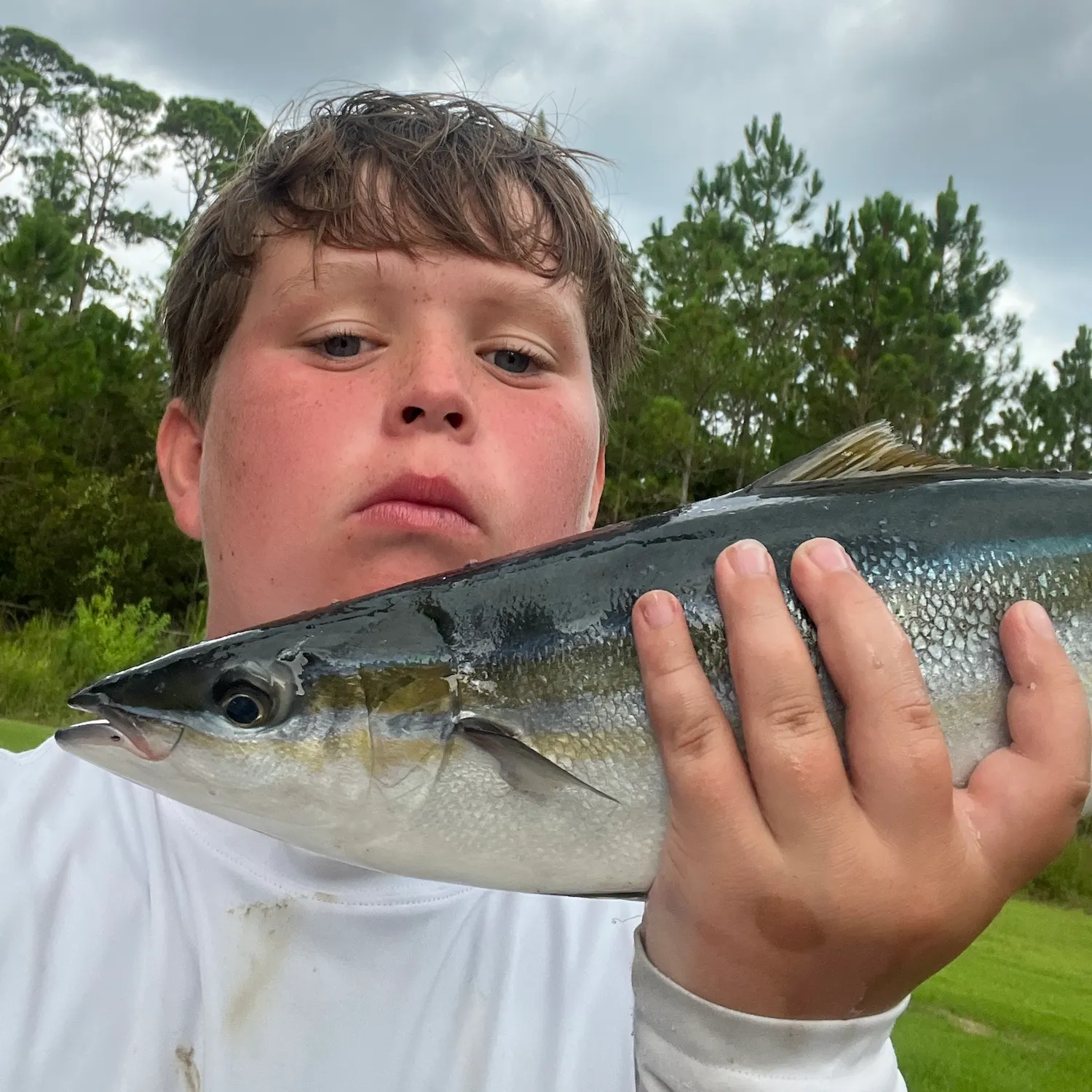 The most recent Rainbow runner catches on Fishbrain