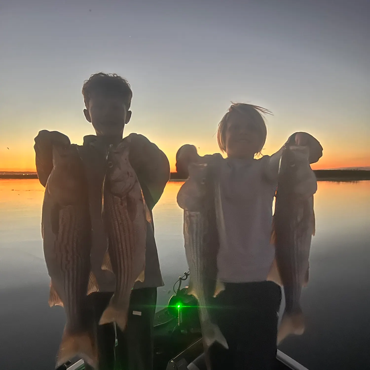 Striped bass caught on Fishbrain