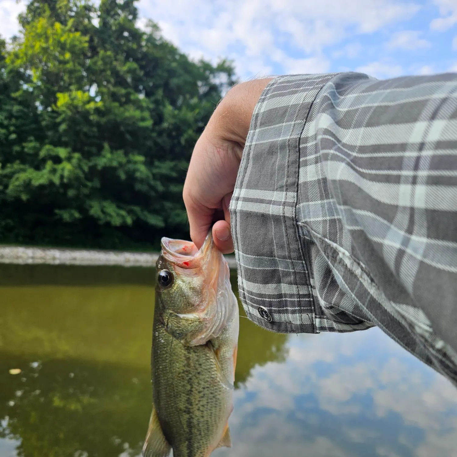 Fish caught on Fishbrain