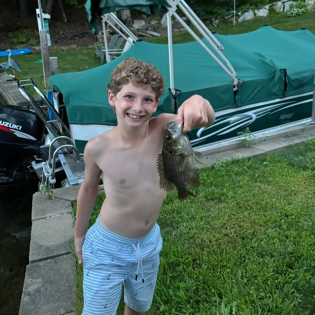 Rock bass caught on Fishbrain