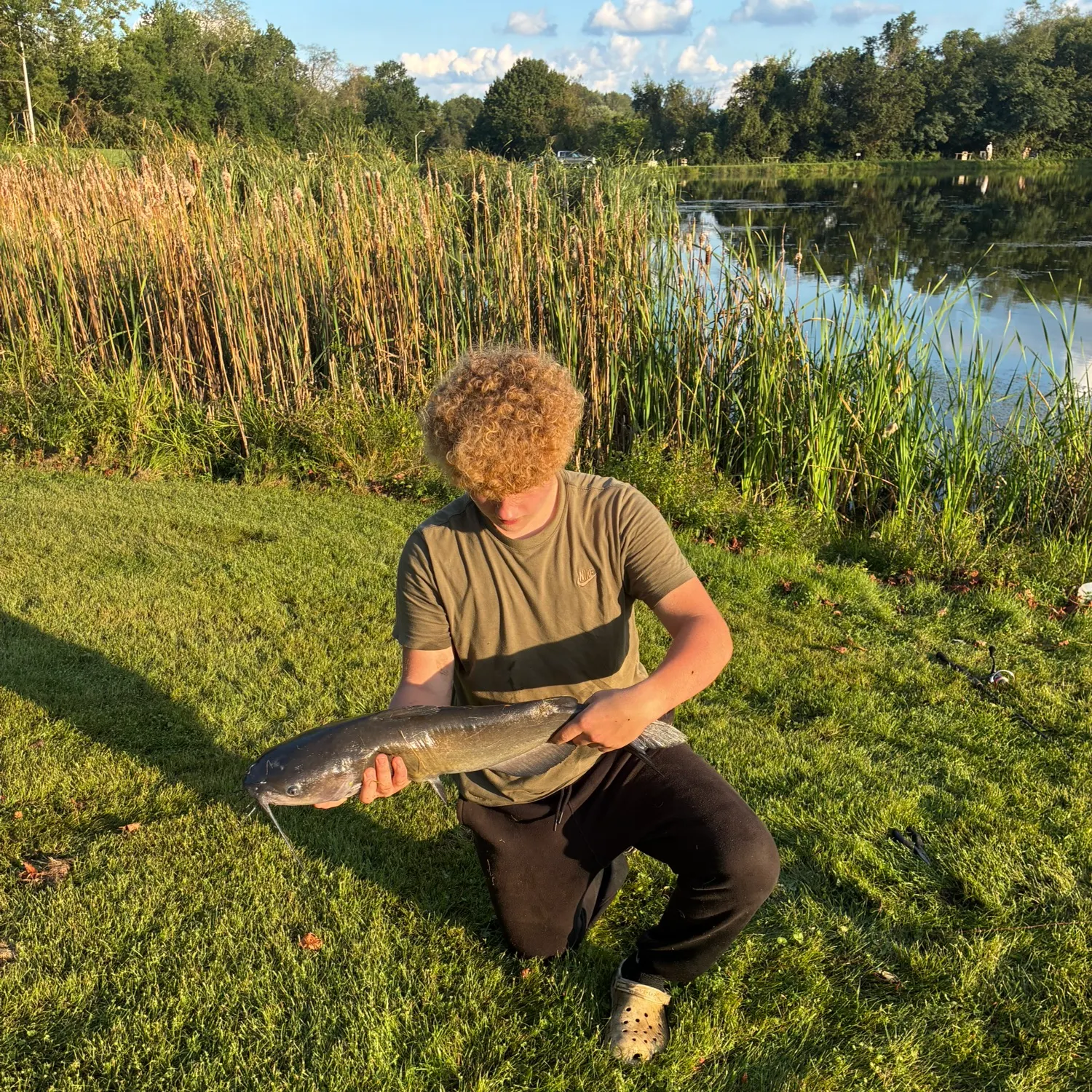 Channel catfish caught on Fishbrain
