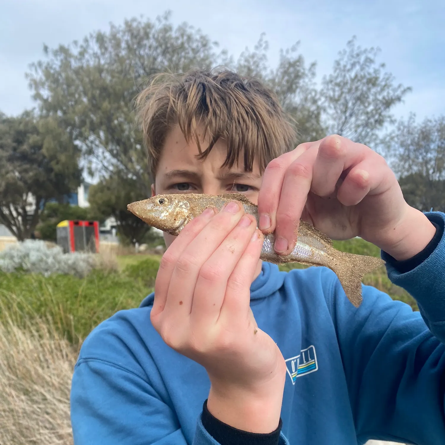 King George whiting caught on Fishbrain