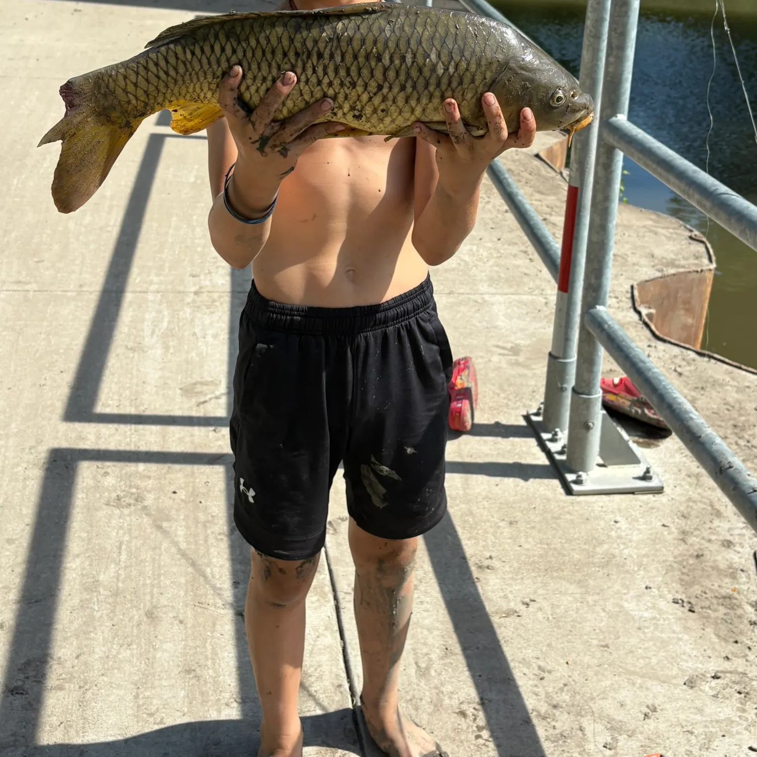 The most recent Common carp catches on Fishbrain