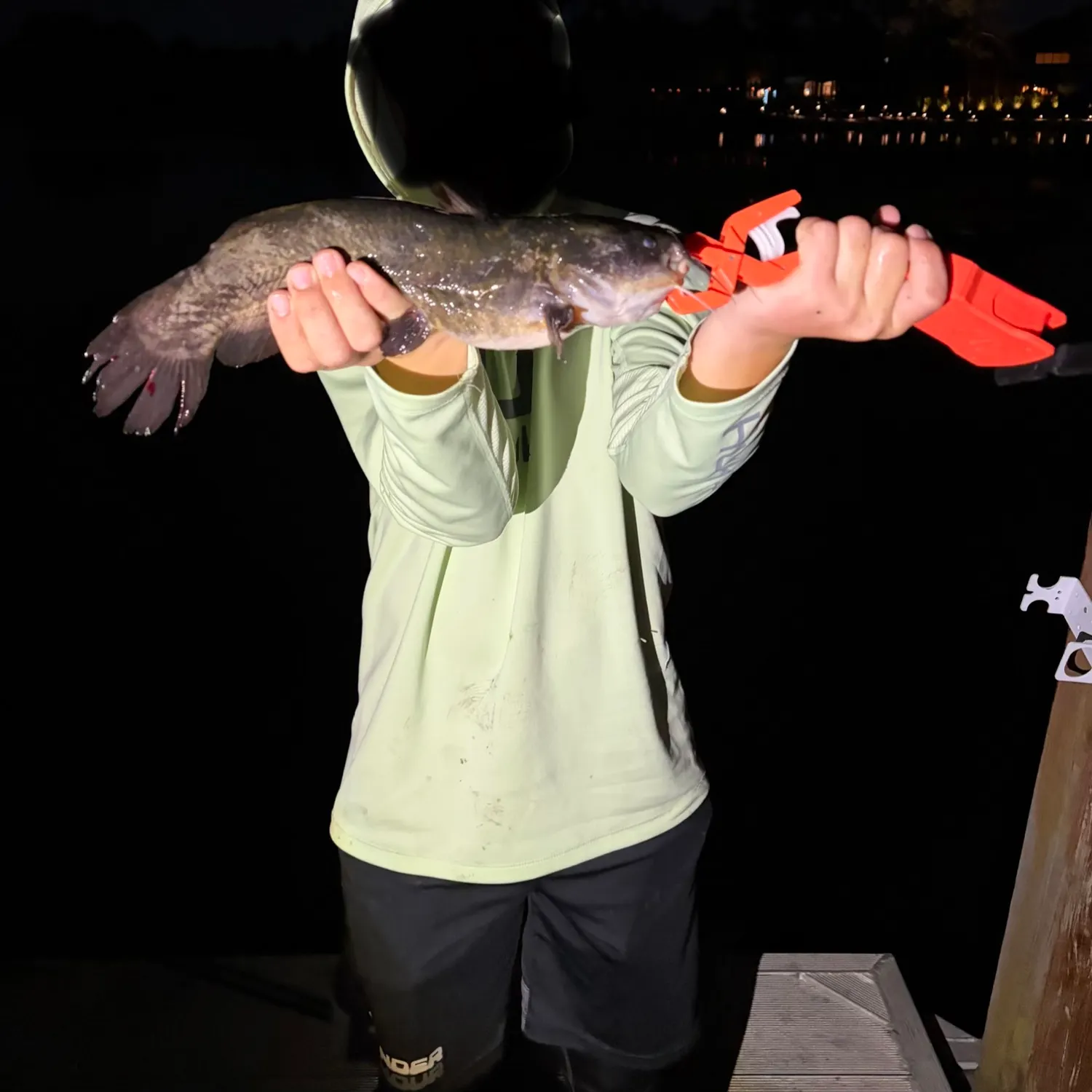 Brown bullhead caught on Fishbrain