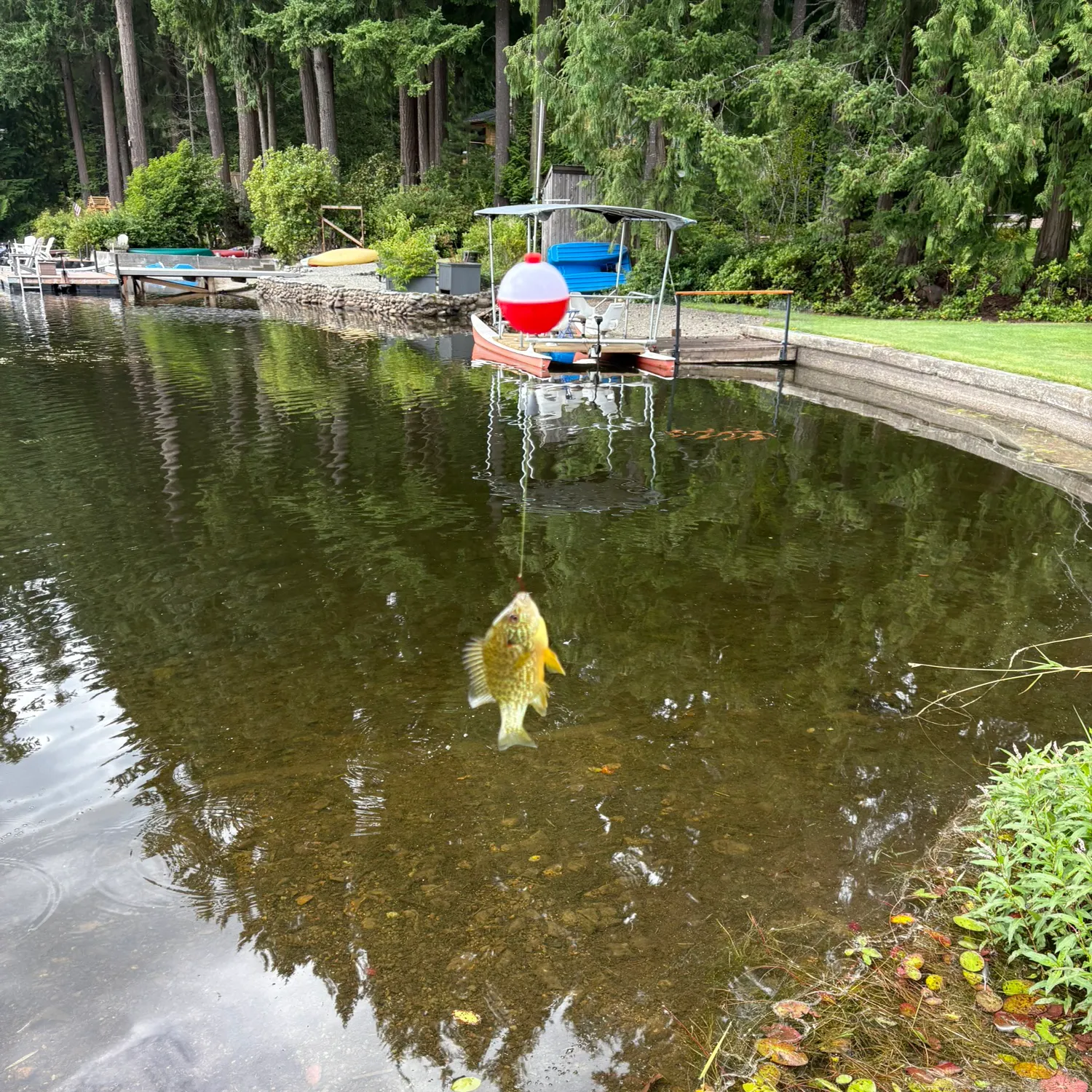 catch