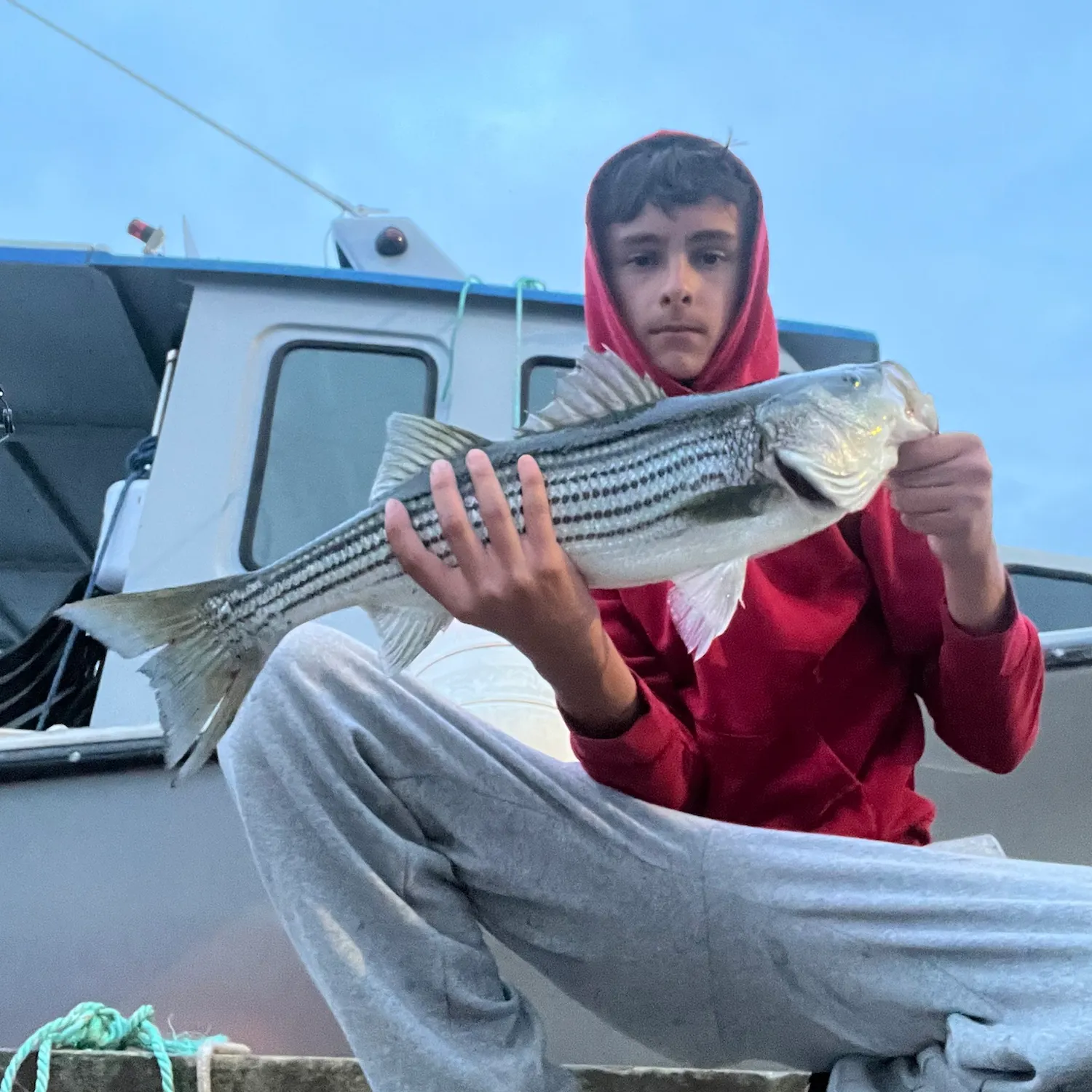 Striped bass caught on Fishbrain