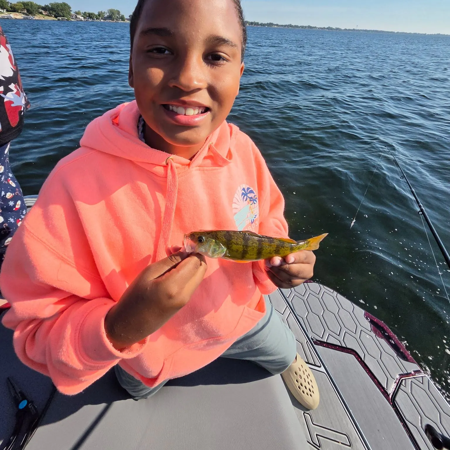 Yellow perch caught on Fishbrain